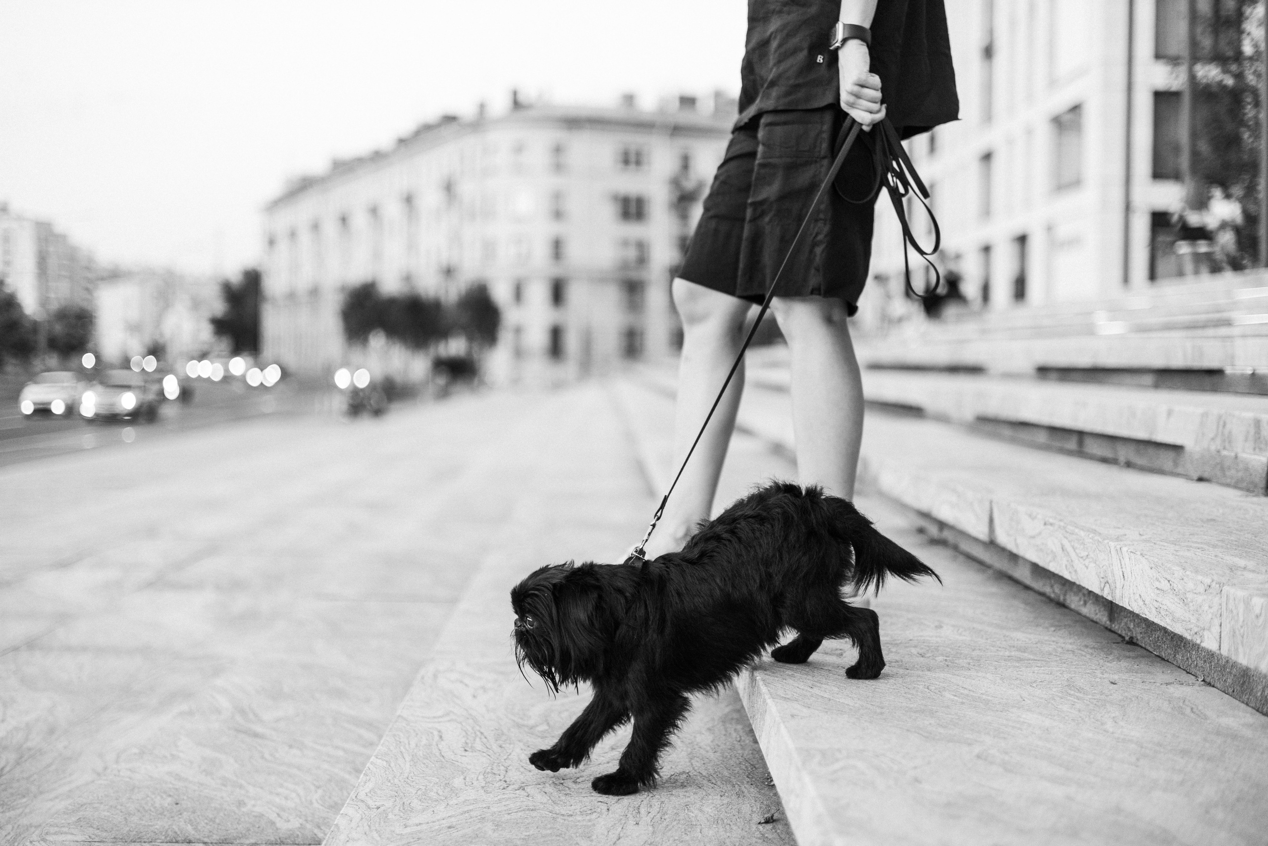 Ася и Кузя. Фотограф анималист Осипчикова Мария