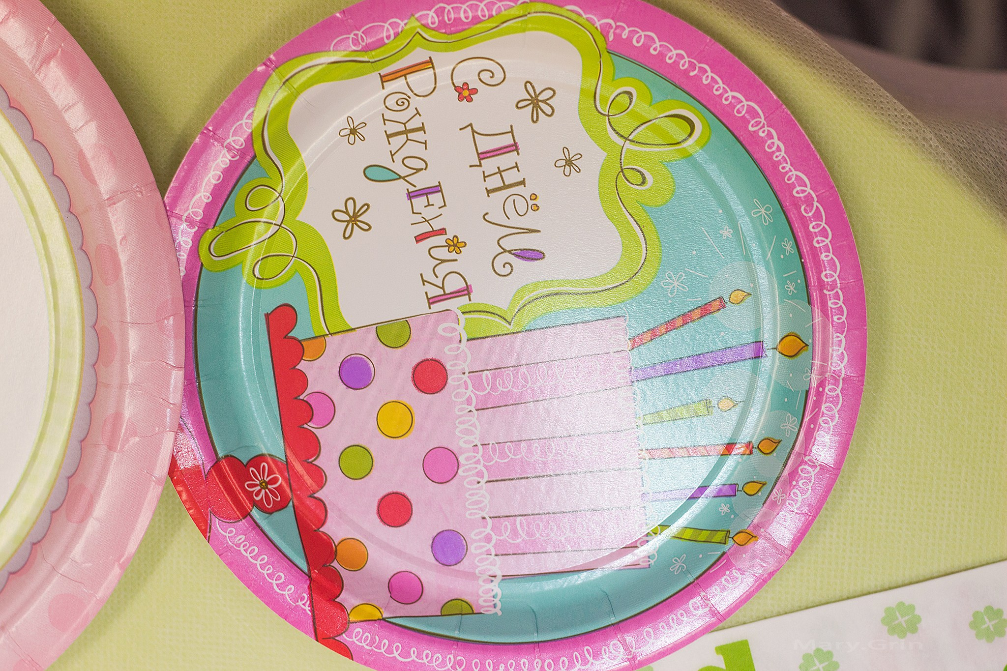 День рождения в стиле свинки Пеппа в Изумрудном городе. Детский и семейный фотограф, фотограф мероприятий Нижний Новгород