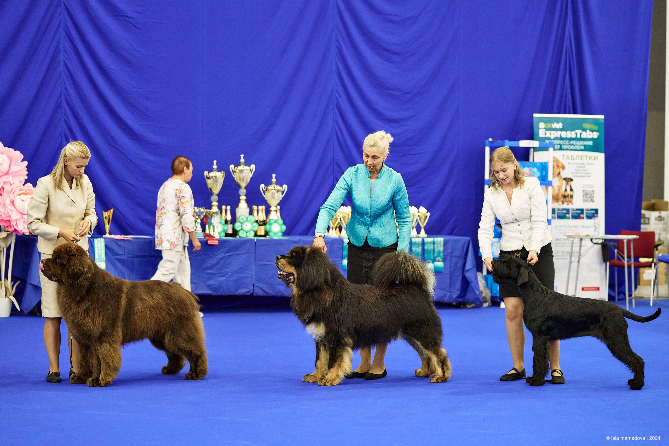 20.07.2024 | «БАЛТИК-ШОУ-1-2024»