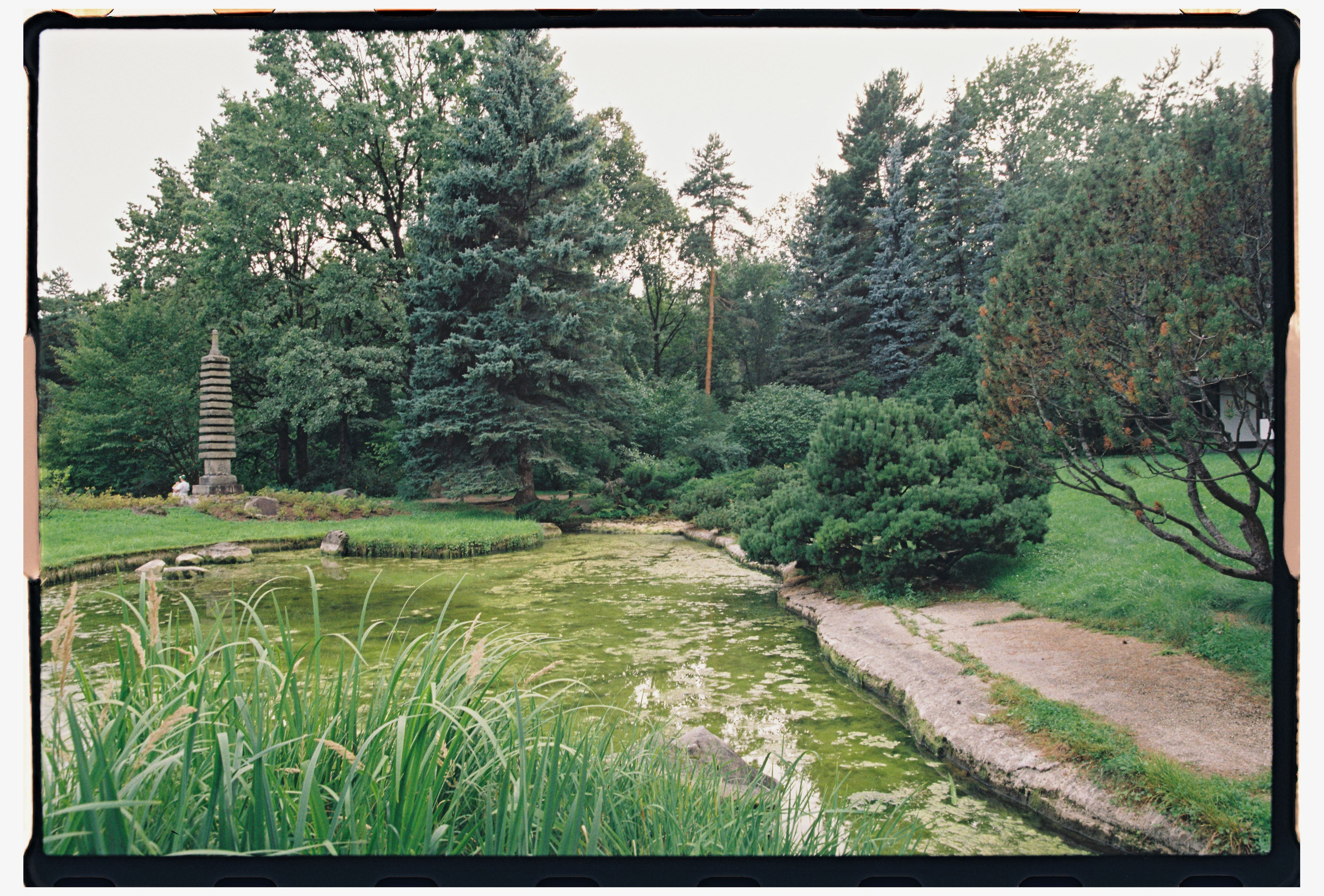 Модель Ася, пленка. Фотограф в Москве. Екатерина Митина