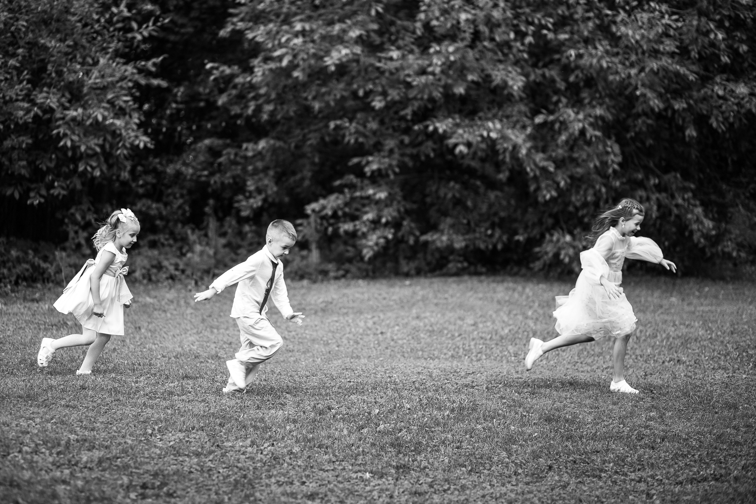 Свадьба Коли и Кати 28.08.24. Свадебный и контент фотограф в Нижнем Новгороде Владимир Пресняков