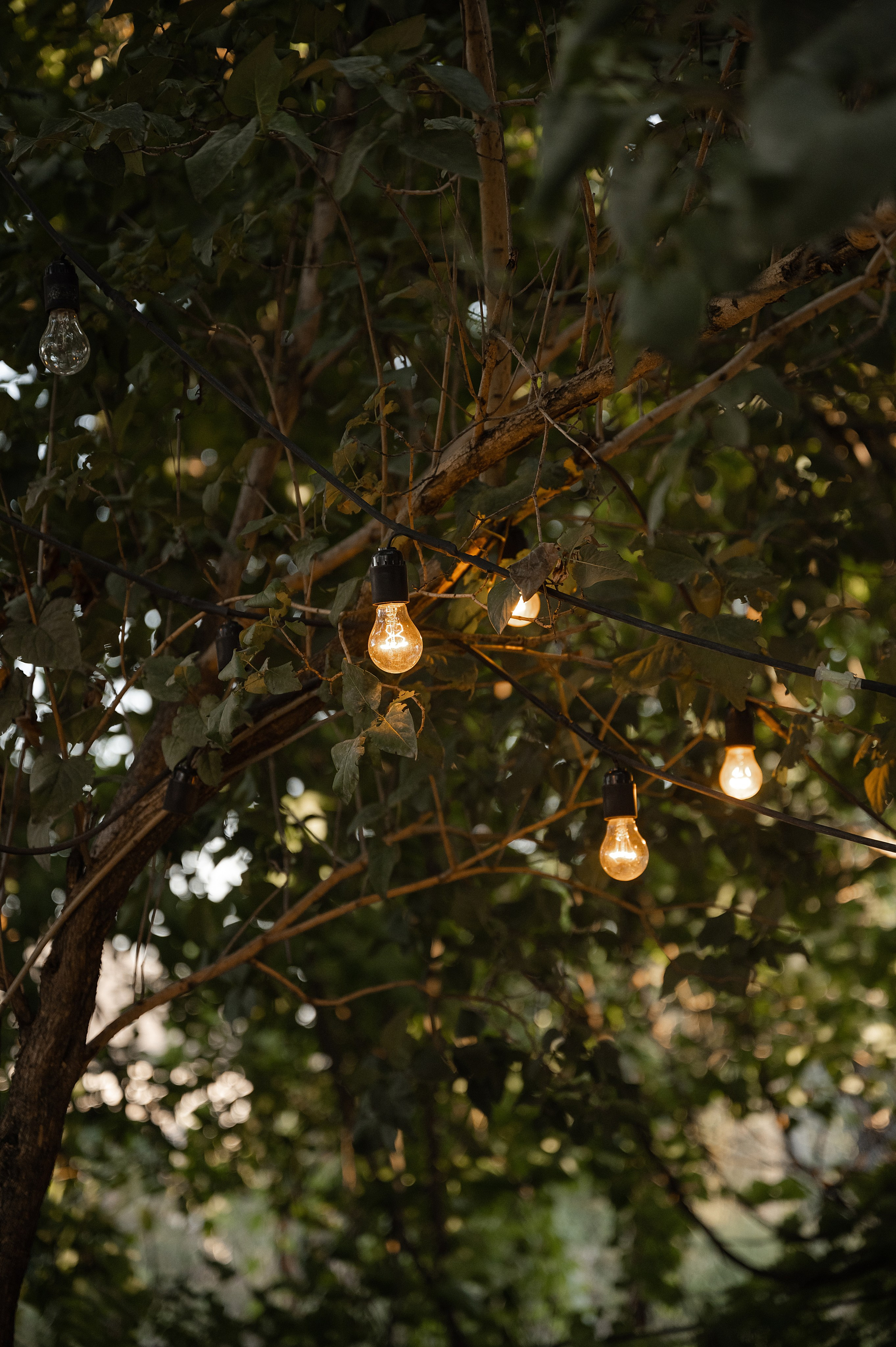 2 Жени и Таня. Свадебный фотограф и видеограф