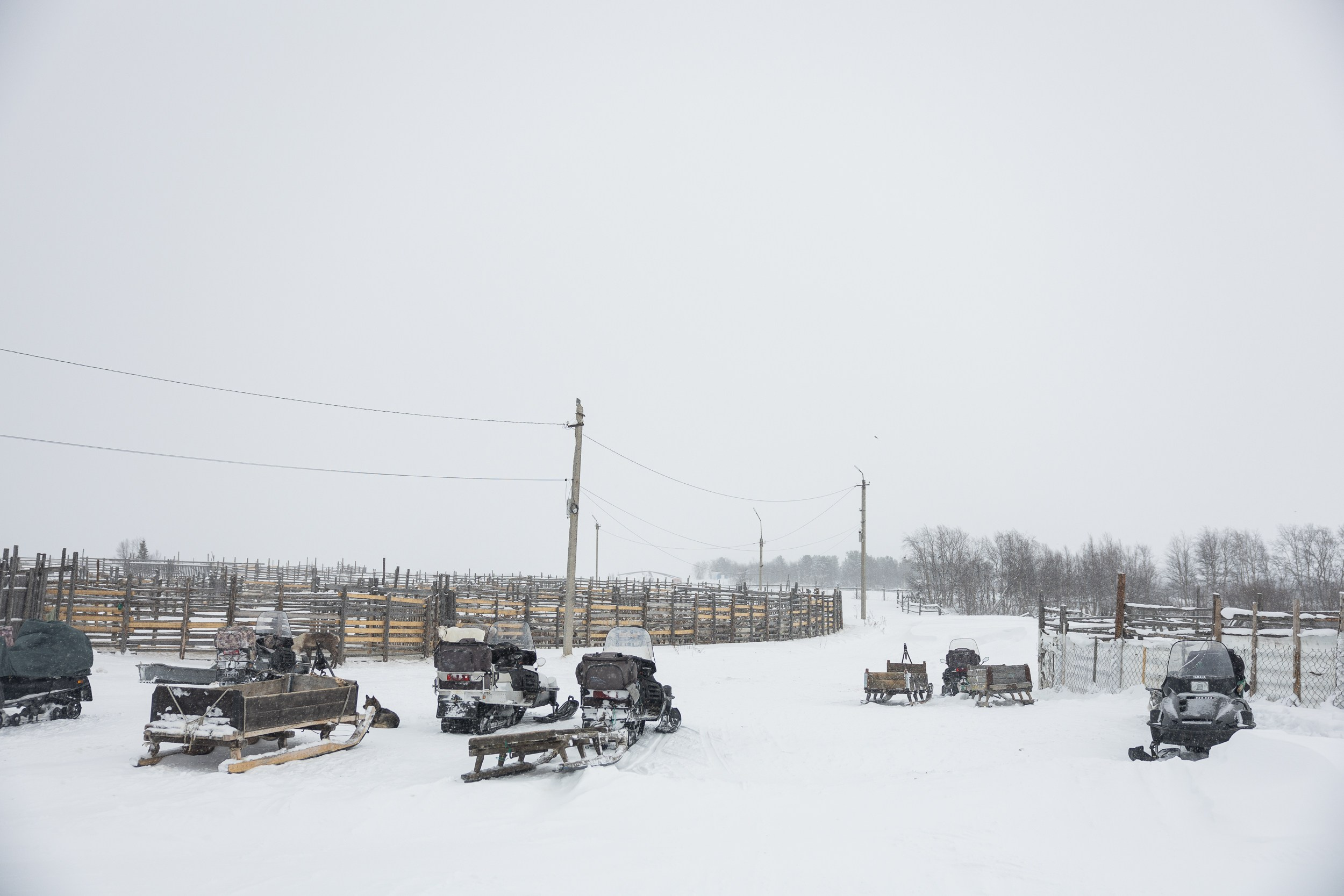 Ловозеро. Оленеводы. Алиса Северная. Визуальные исследования. Пейзажная и документальная фотография