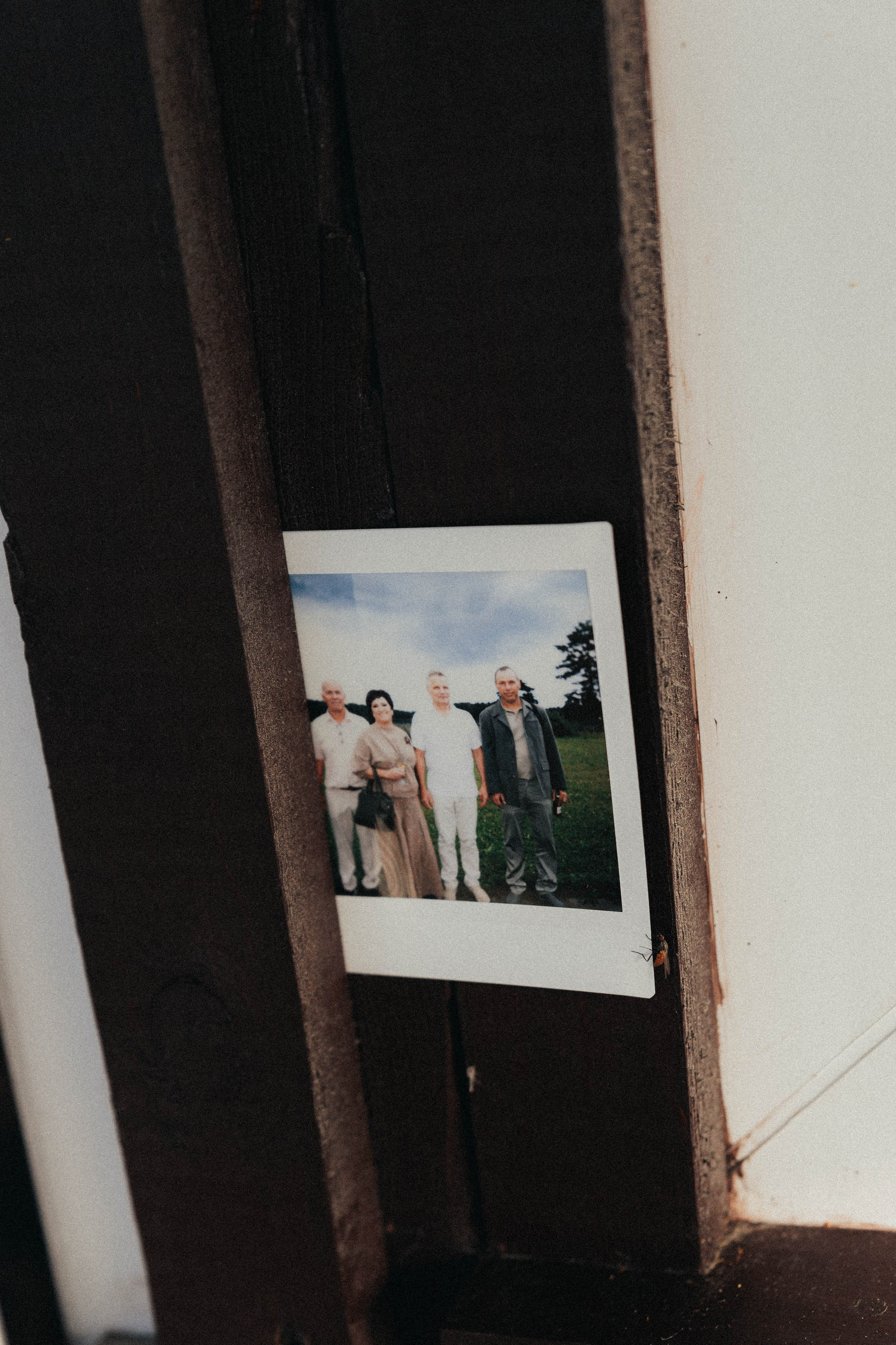 Алёна&Данил. Фотограф ЕКБ