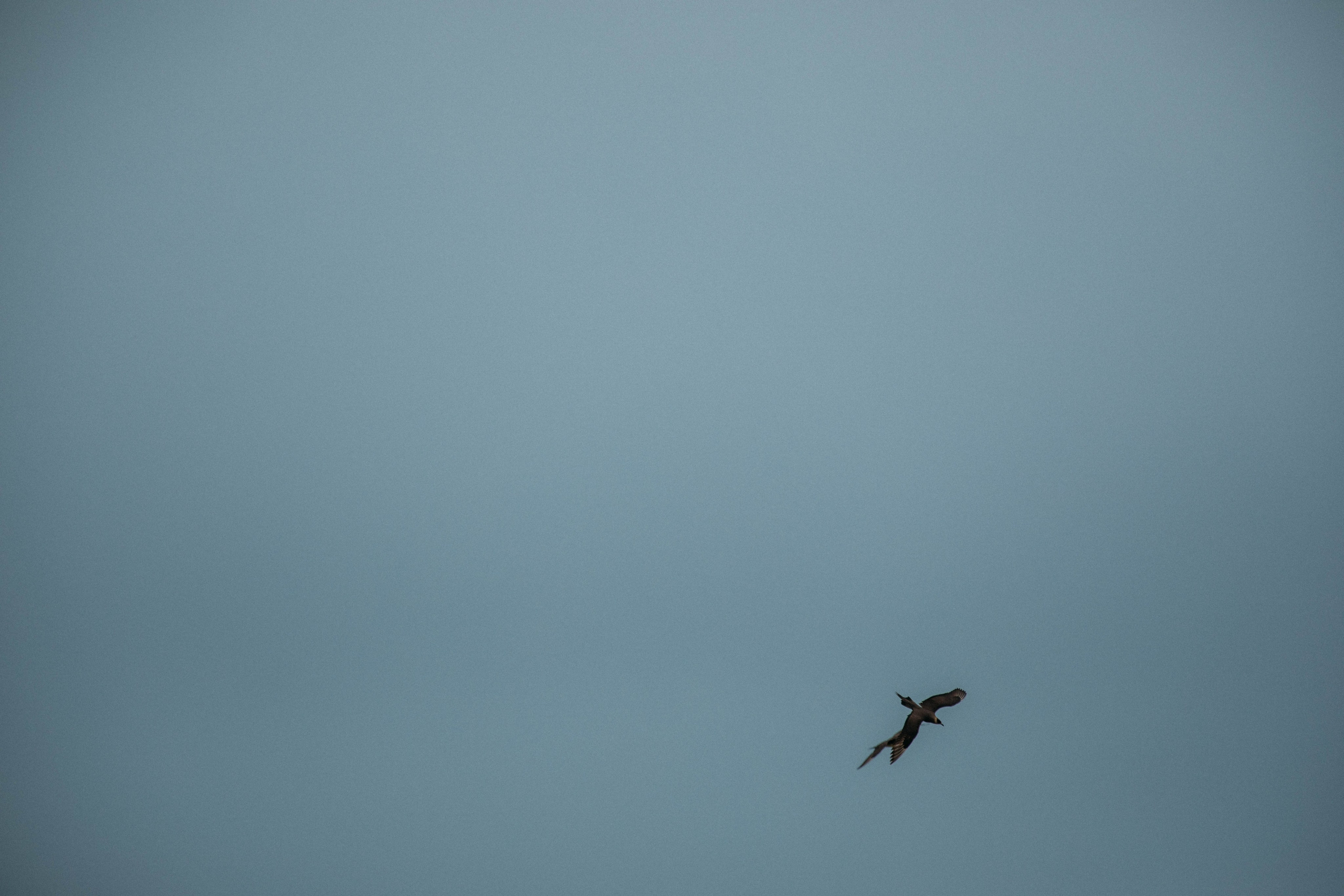 Кольский полуостров. Фотографирую для себя, своей семьи и друзей!