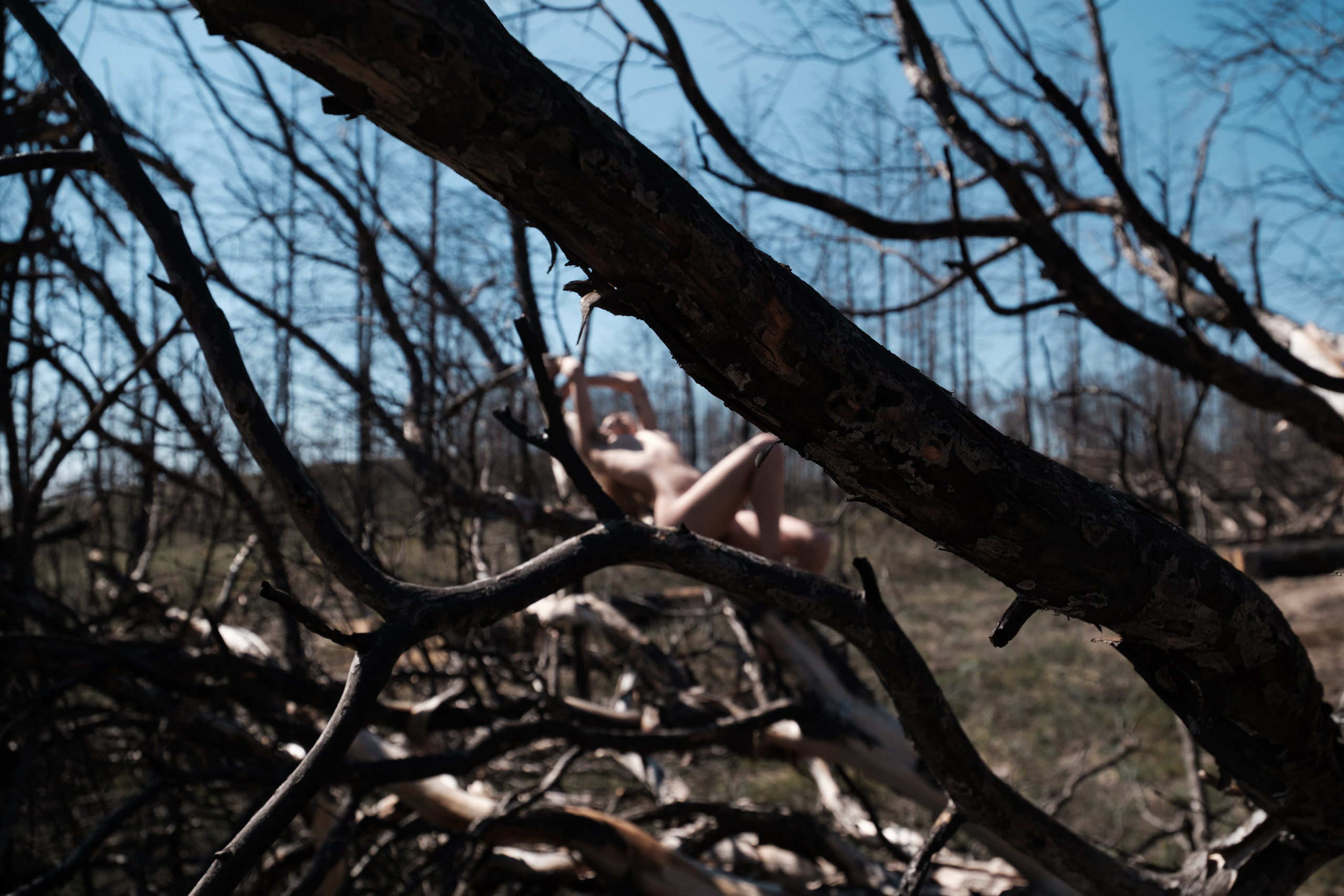 Горельник. Фотограф Коробова Екатерина