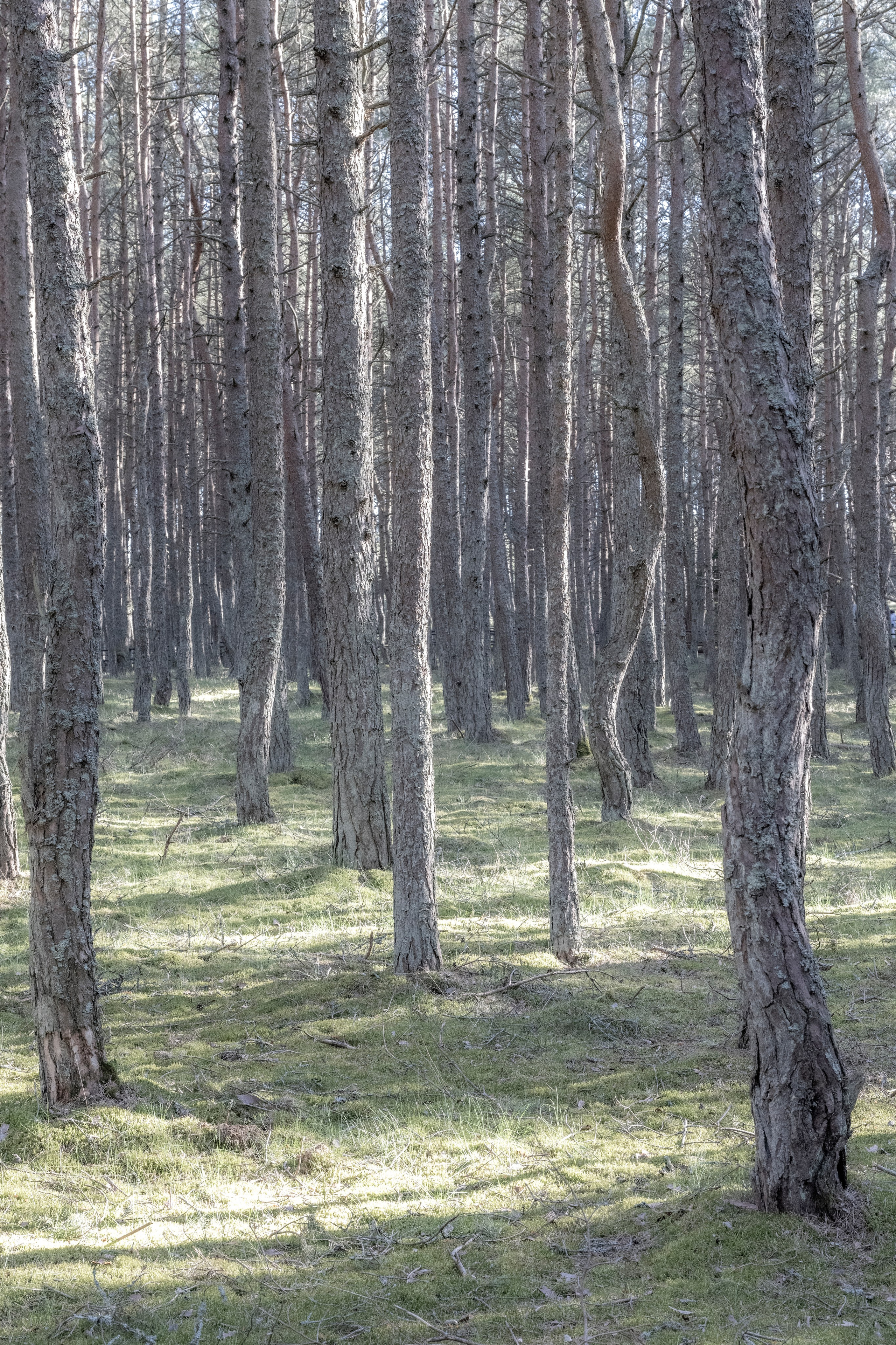 Калининград