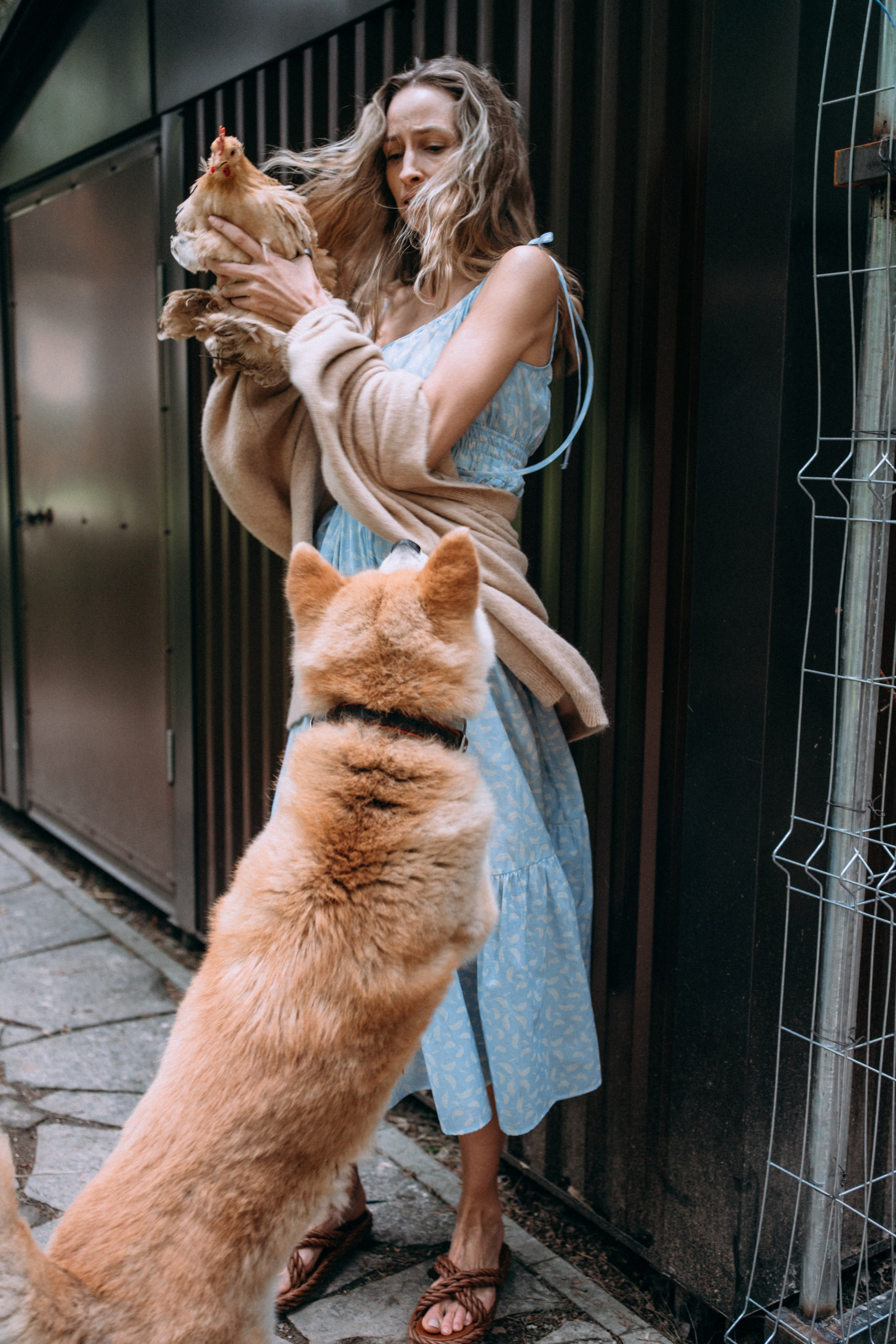 Дети. Курицы. Теплица. СТИЛЬ. Семейный и детский фотограф и видеограф в Москве, Серпухове и Тарусе Валерия Сорокина