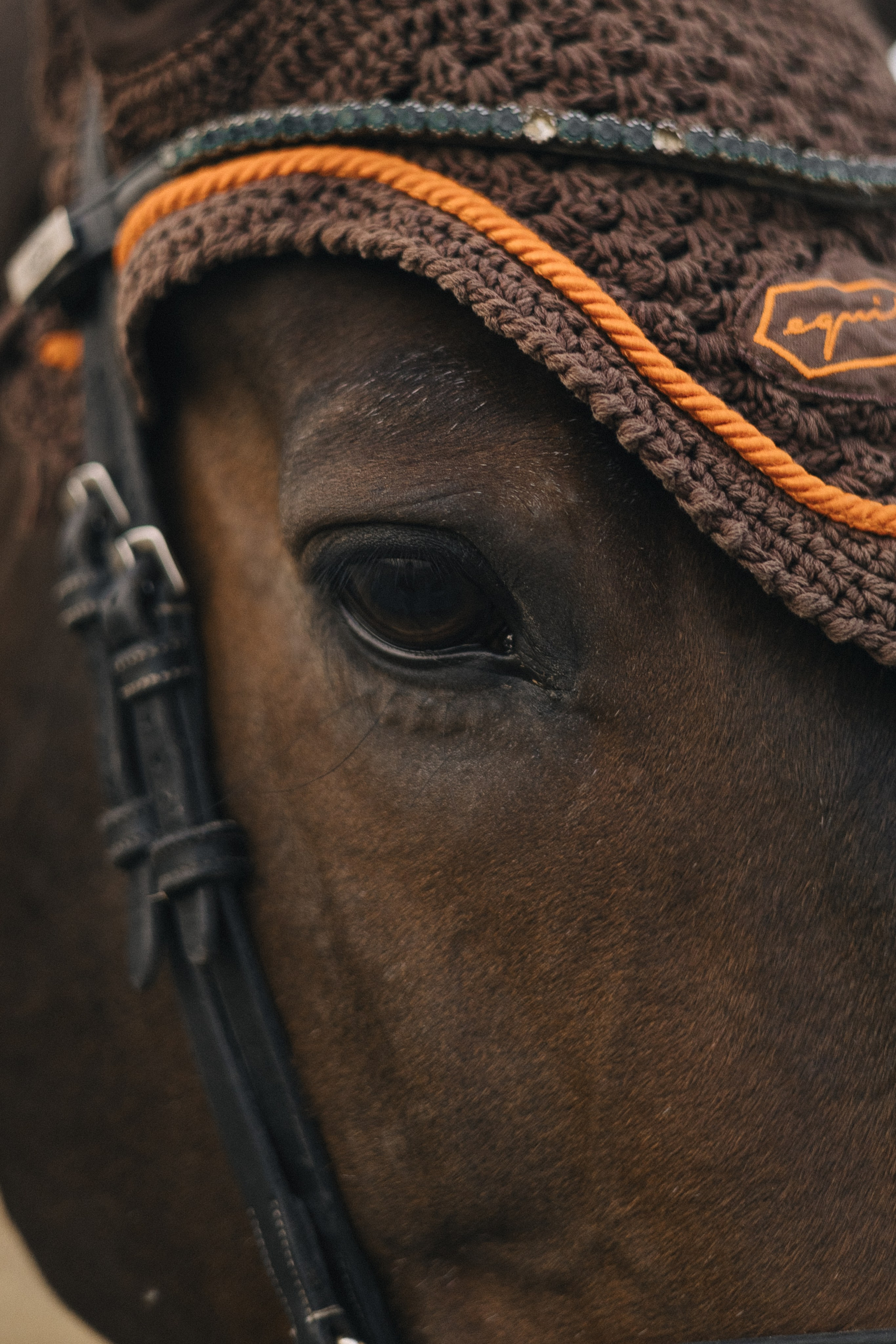 Лиля. Майорова Валерия Фотограф Ставрополь