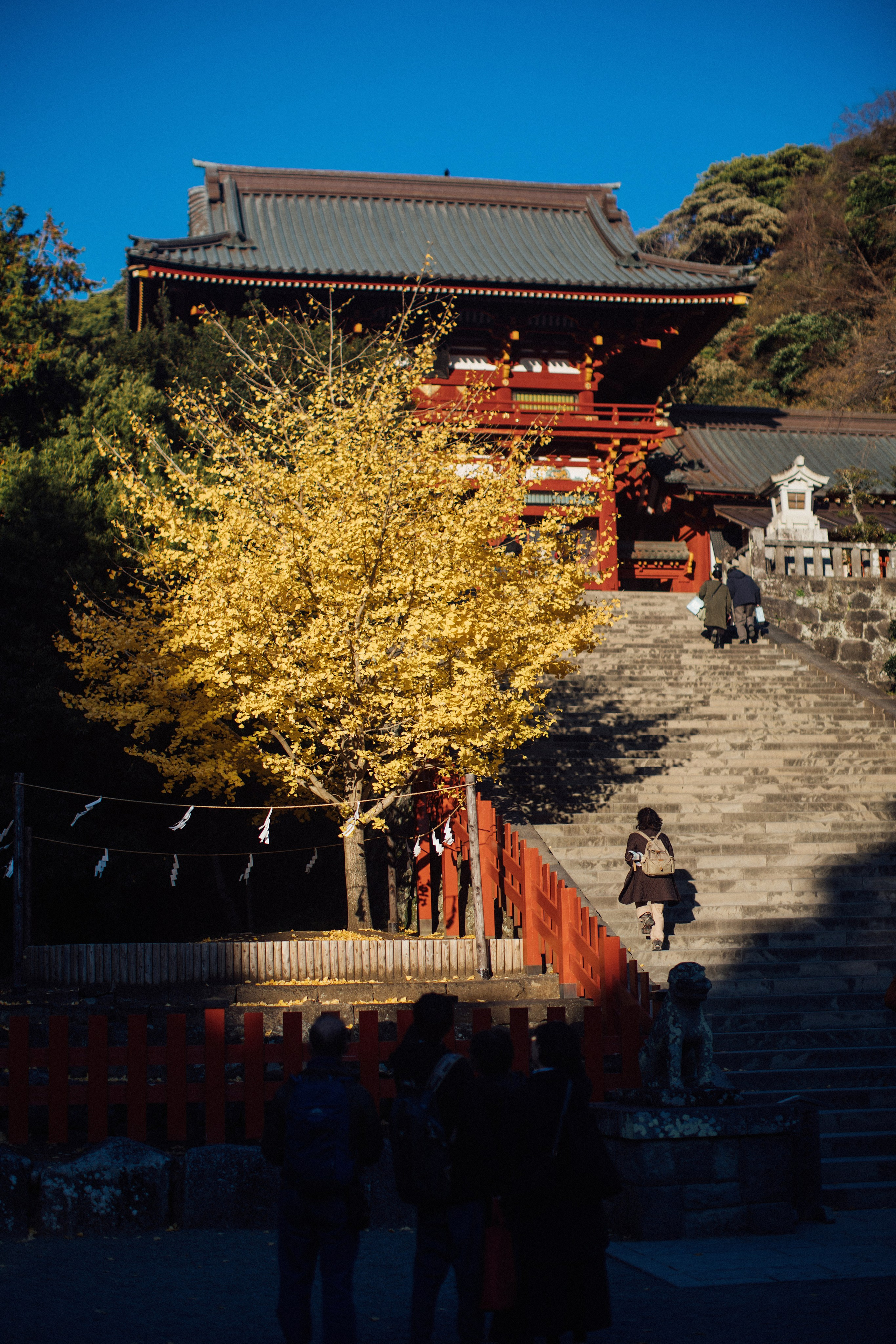 Япония. Главная