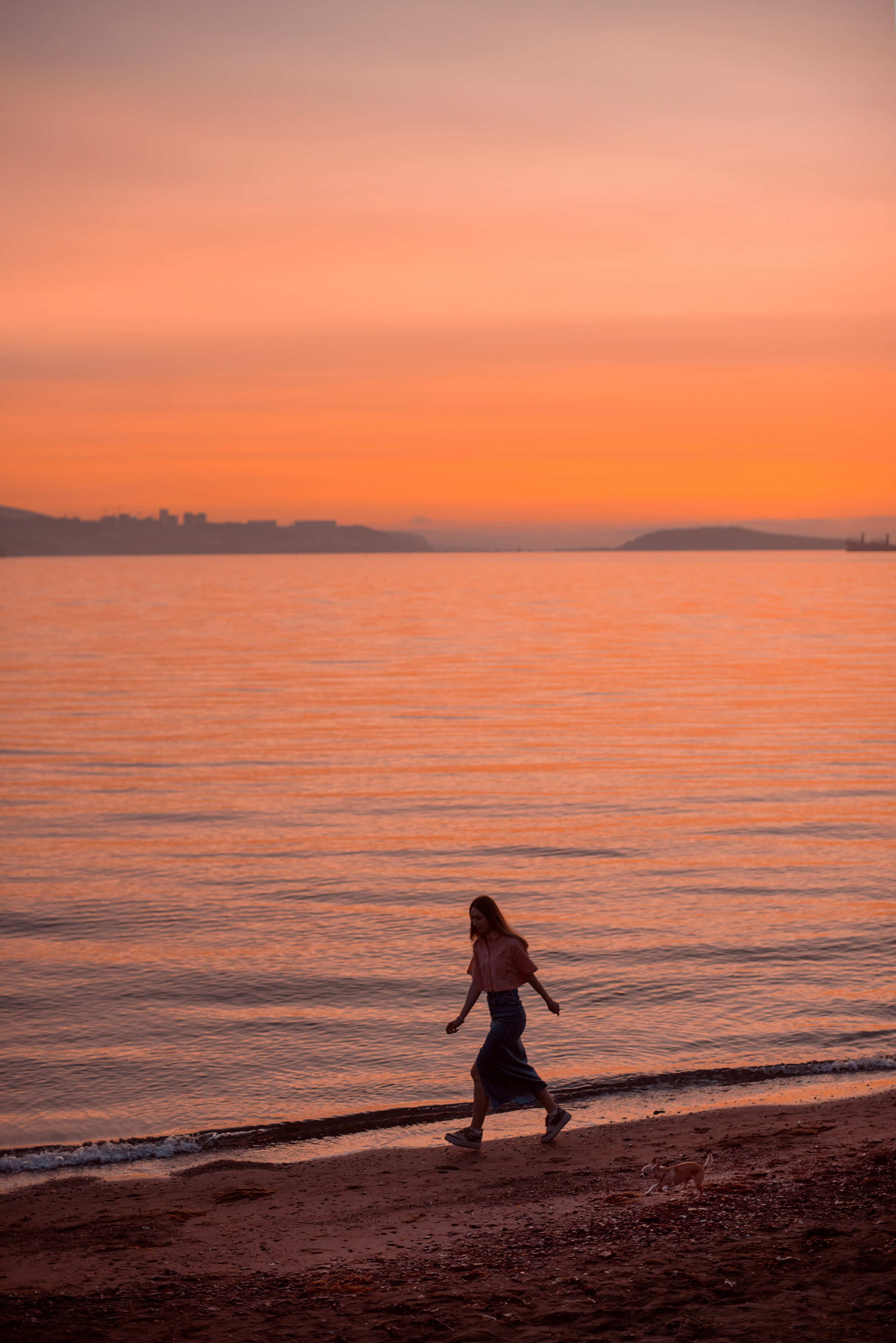 Прогулка: чихуахуа Хенни и Алина во Владивостоке. Портфолио