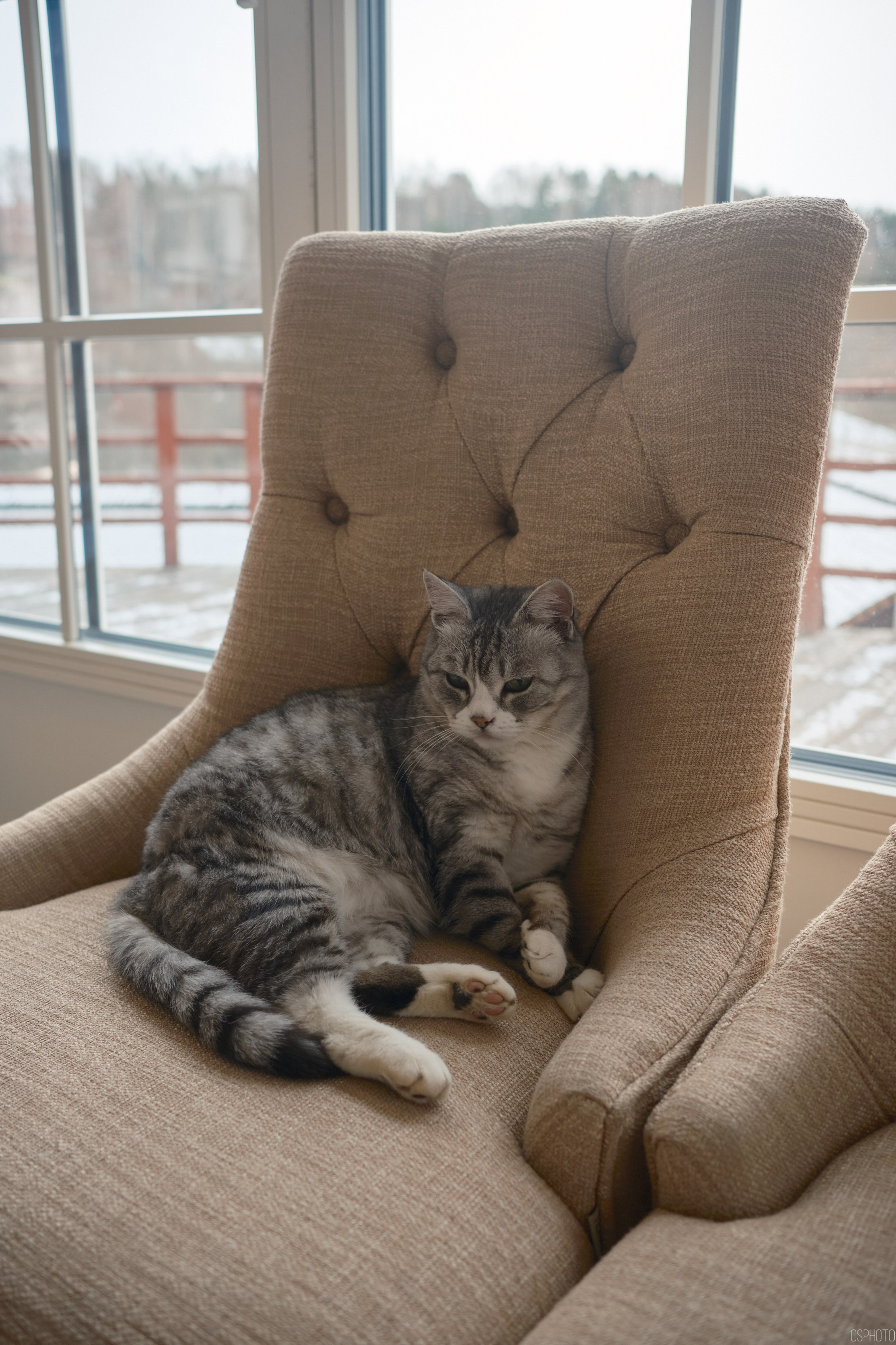 Плёс. Волга. Март. Фотографъ Сергѣевъ. Поймать мгновеніе