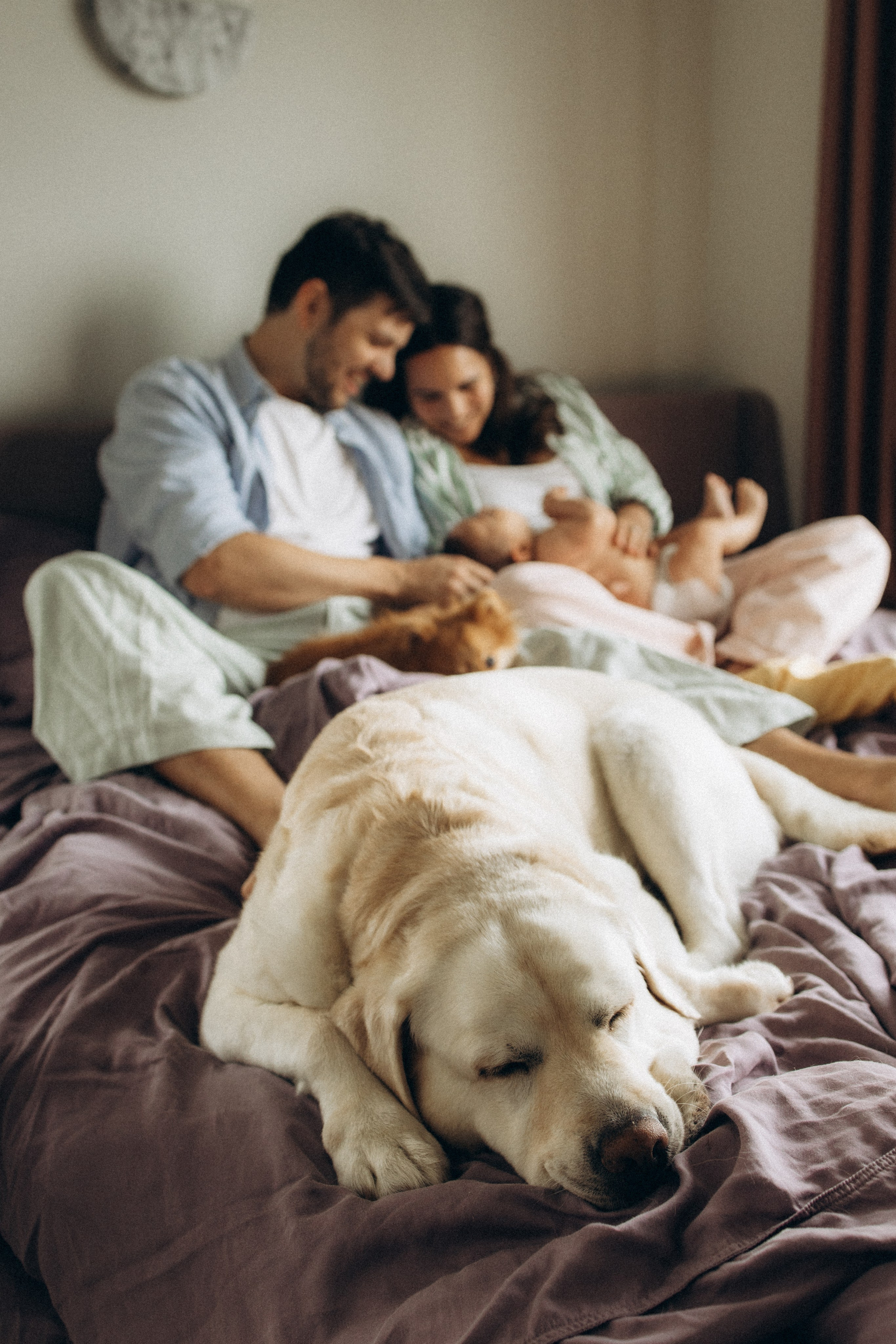 Baby-Shooting zu Hause. Fotografin in Erlangen, Nürnberg und Umgebung