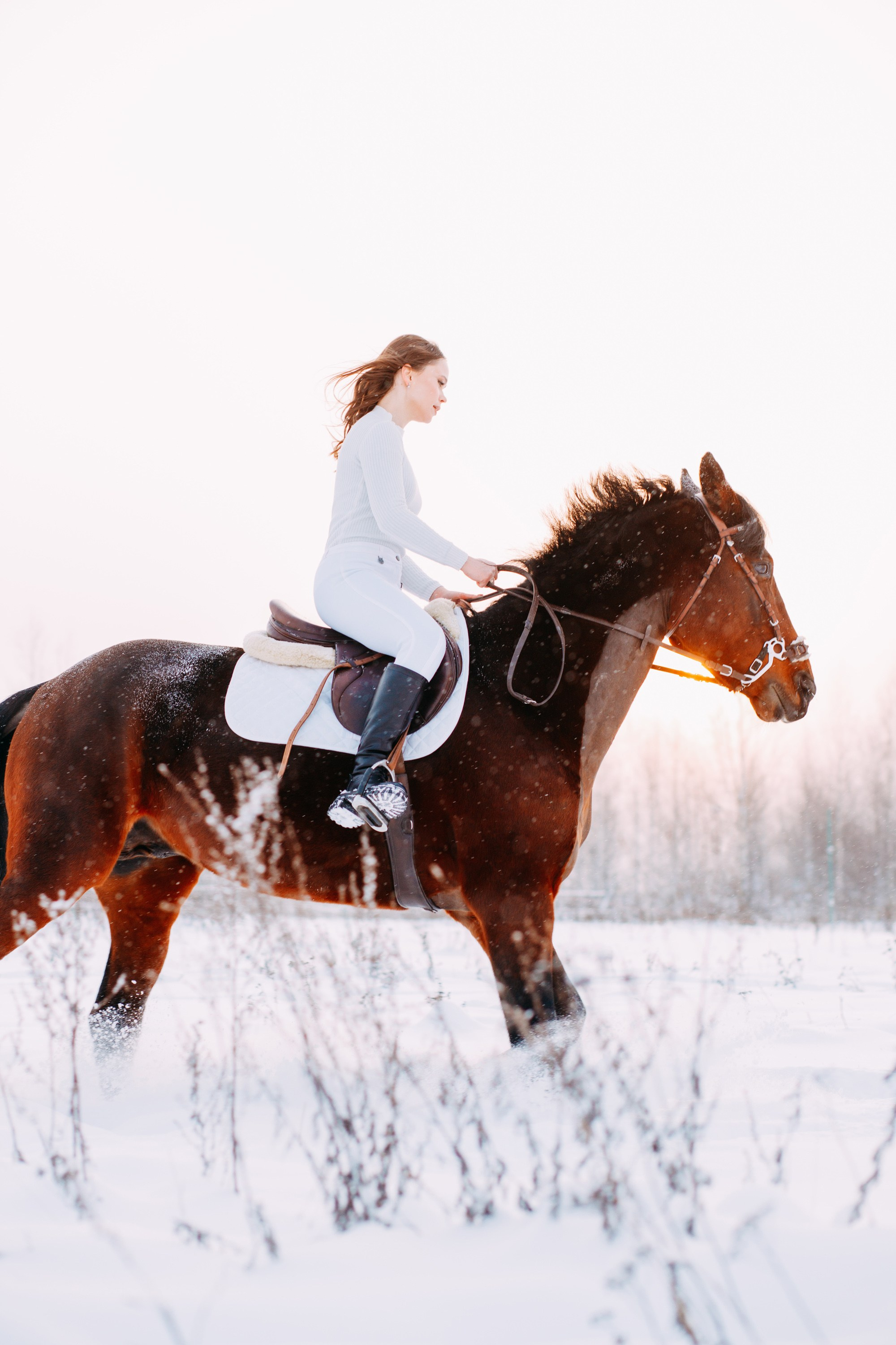 Зимняя фотосессия с лошадкой. Фотограф в Санкт-Петербурге Alina Film