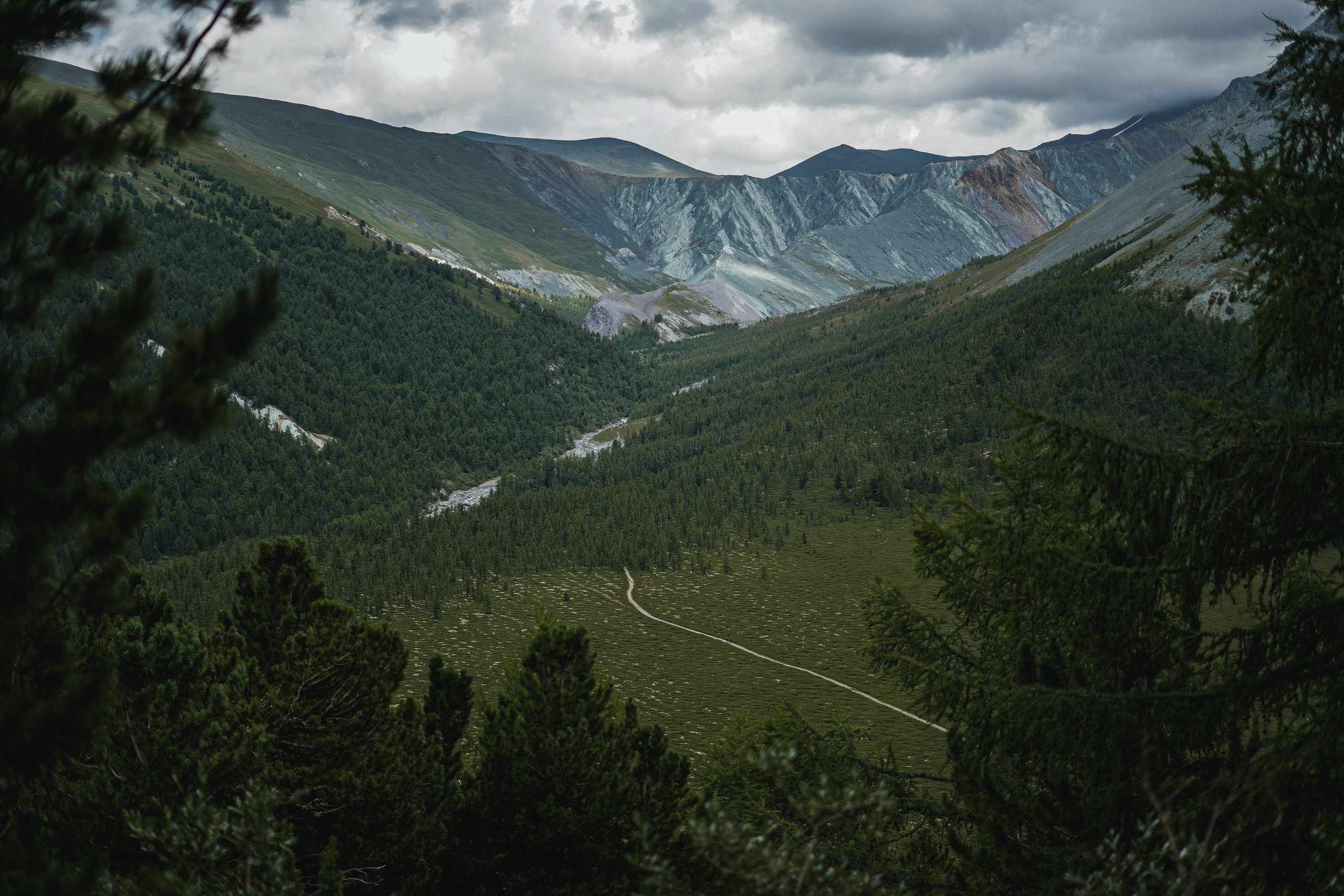 Алтай, поход к Белухе 2023. Фотограф Ольга Пучкова