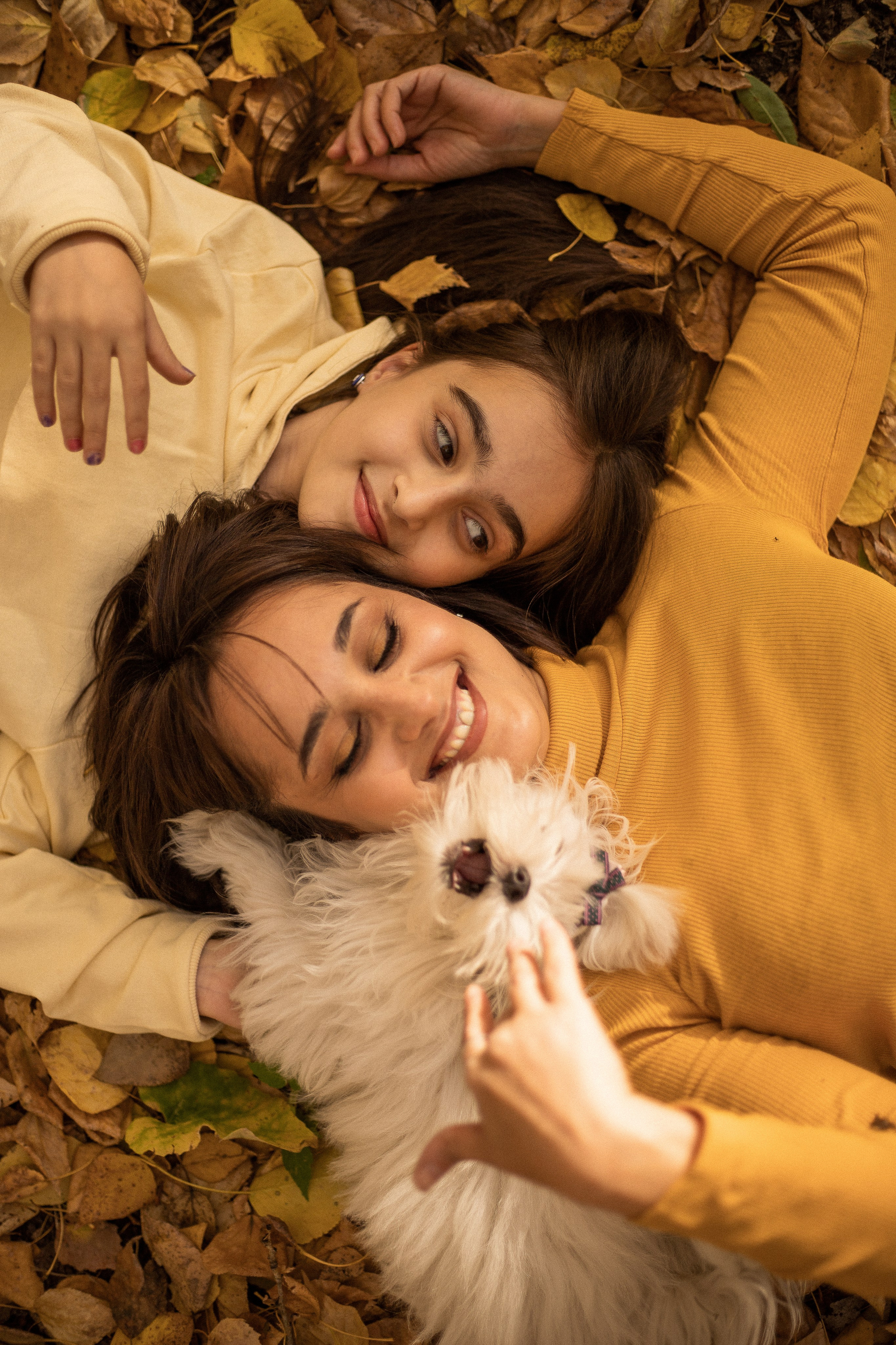 Семейная фотосессия - Дамы с собачкой. Семейный и женский фотограф Кемерово Мария Степ