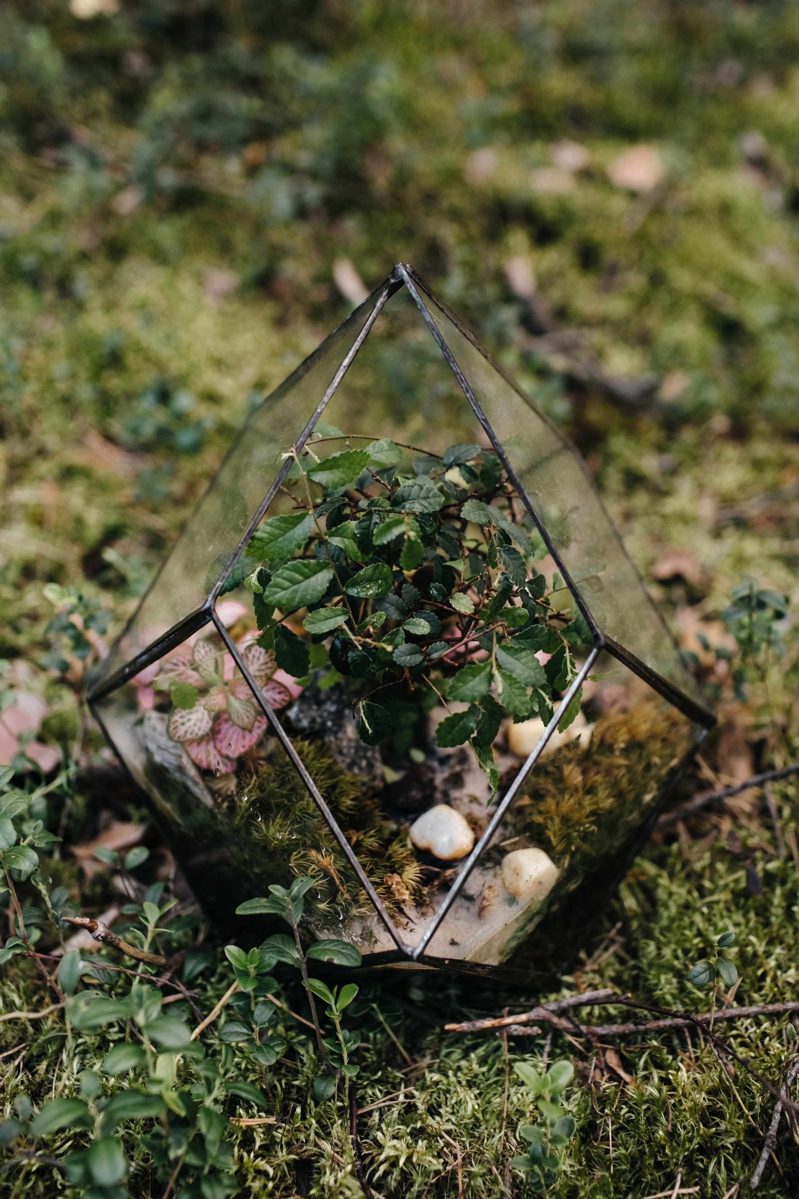 Оля. Портретный фотограф в Санкт-Петербурге Саша Гореликова