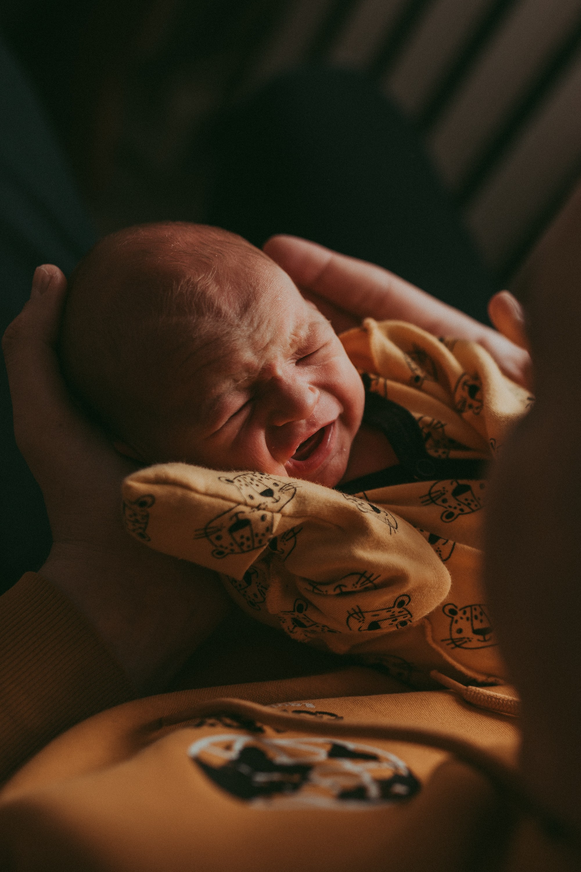 Маленький космос. Семейный и детский фотограф в Новосибирске и Краснообске — Анна Ким