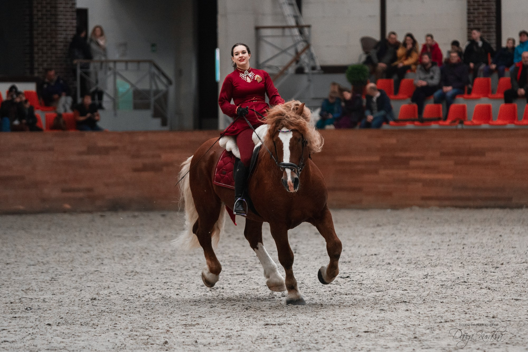 8-я международная выставка Конная Россия. Конный фотограф Куракина Дарья • Фотосессии с лошадьми