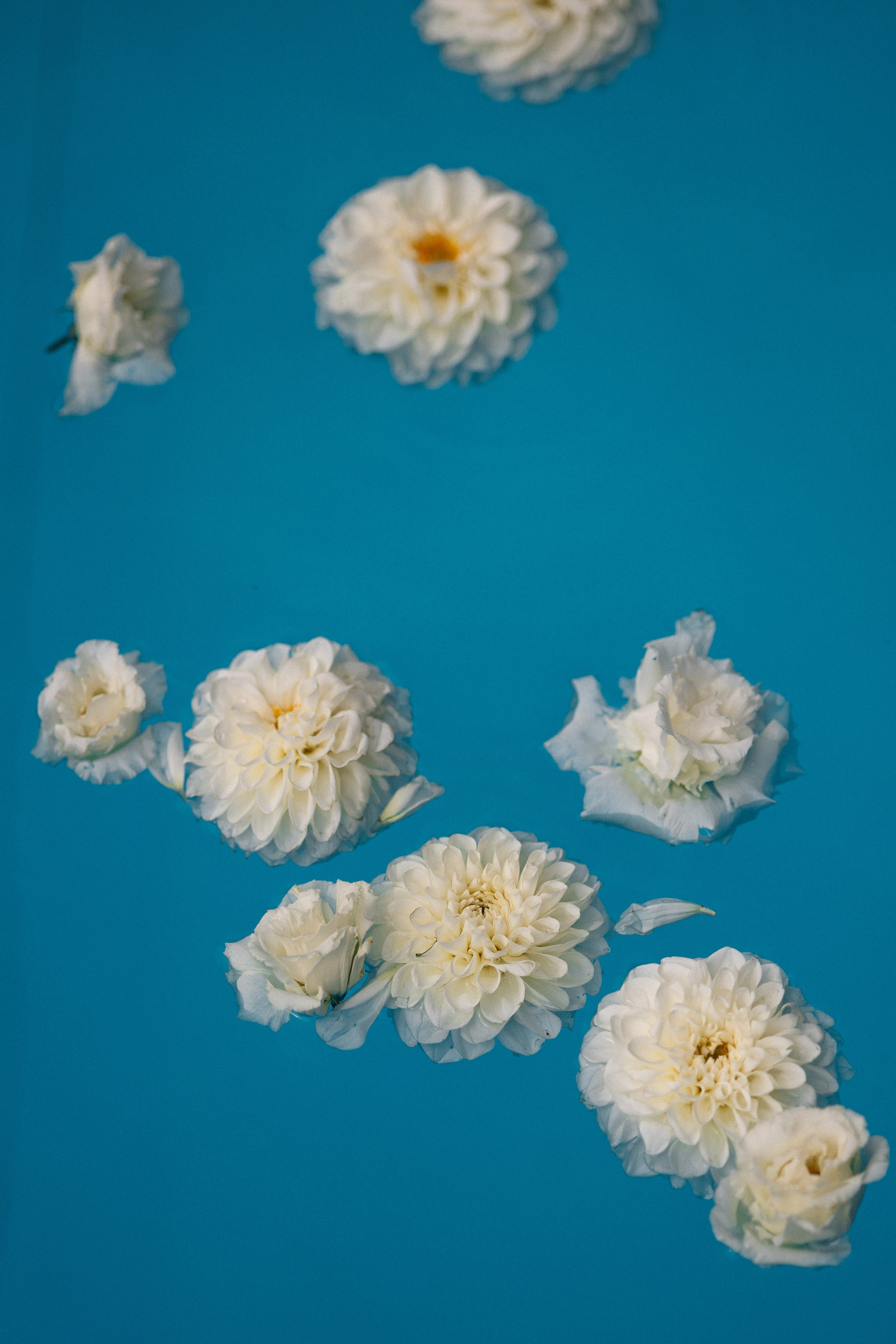 Илья и Яна. Wedding and Reportage photographer Marmarov Christya