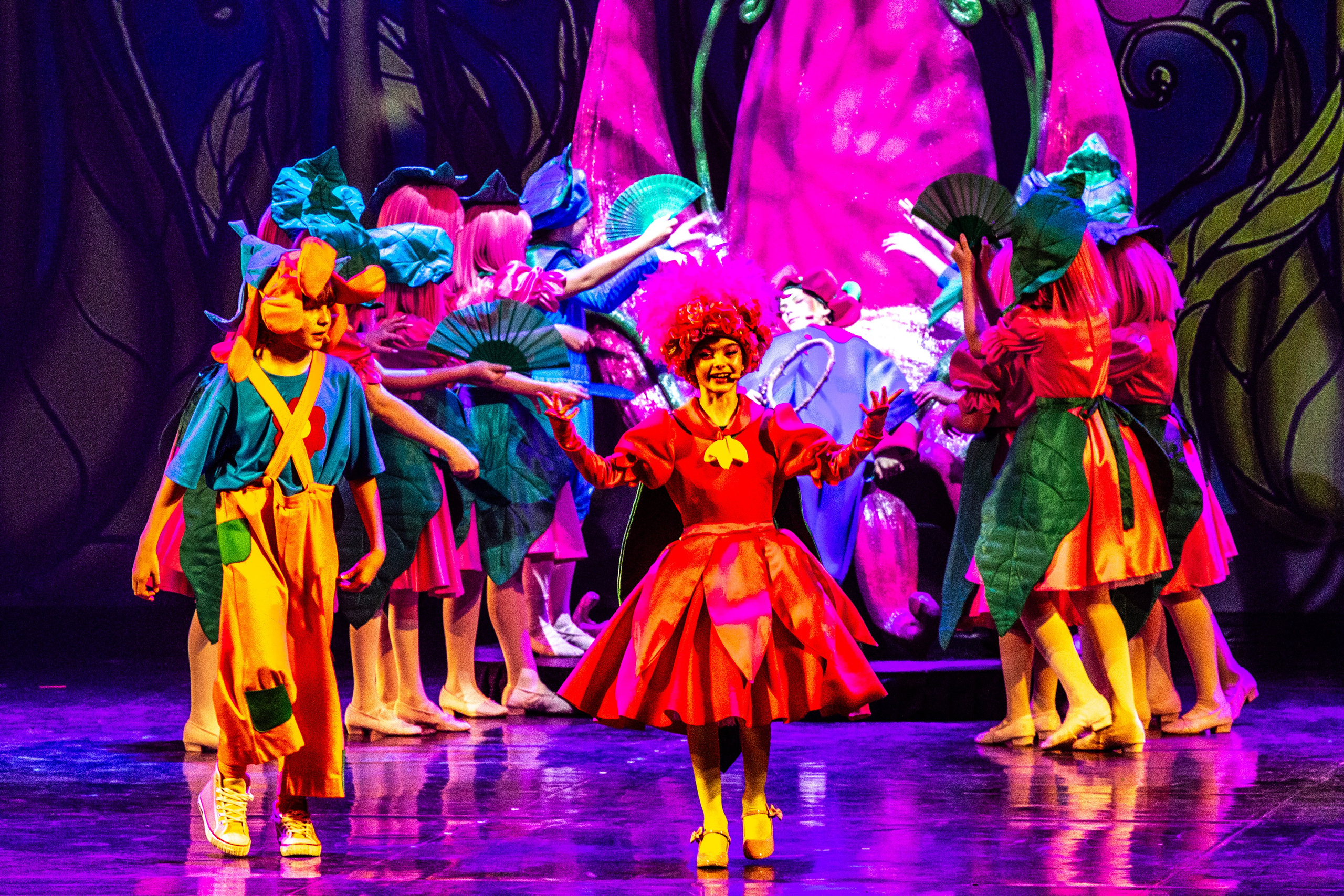 Мюзикл «Незнайка в царстве малюток» премьера Сочи солнышки и Сочи Соло. Фотограф в Сочи Юрий Шептаев