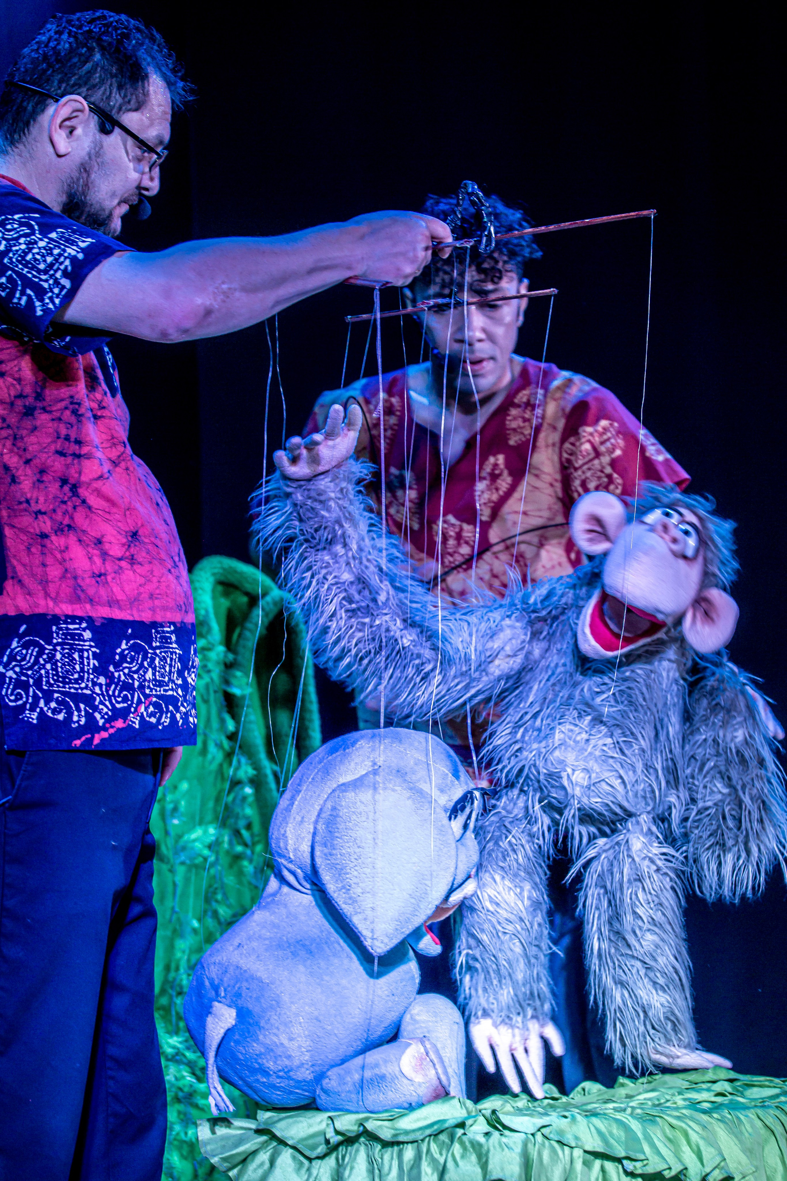 Любопытный слоненок спектакль театра Саквояж. Фотограф в Сочи Юрий Шептаев