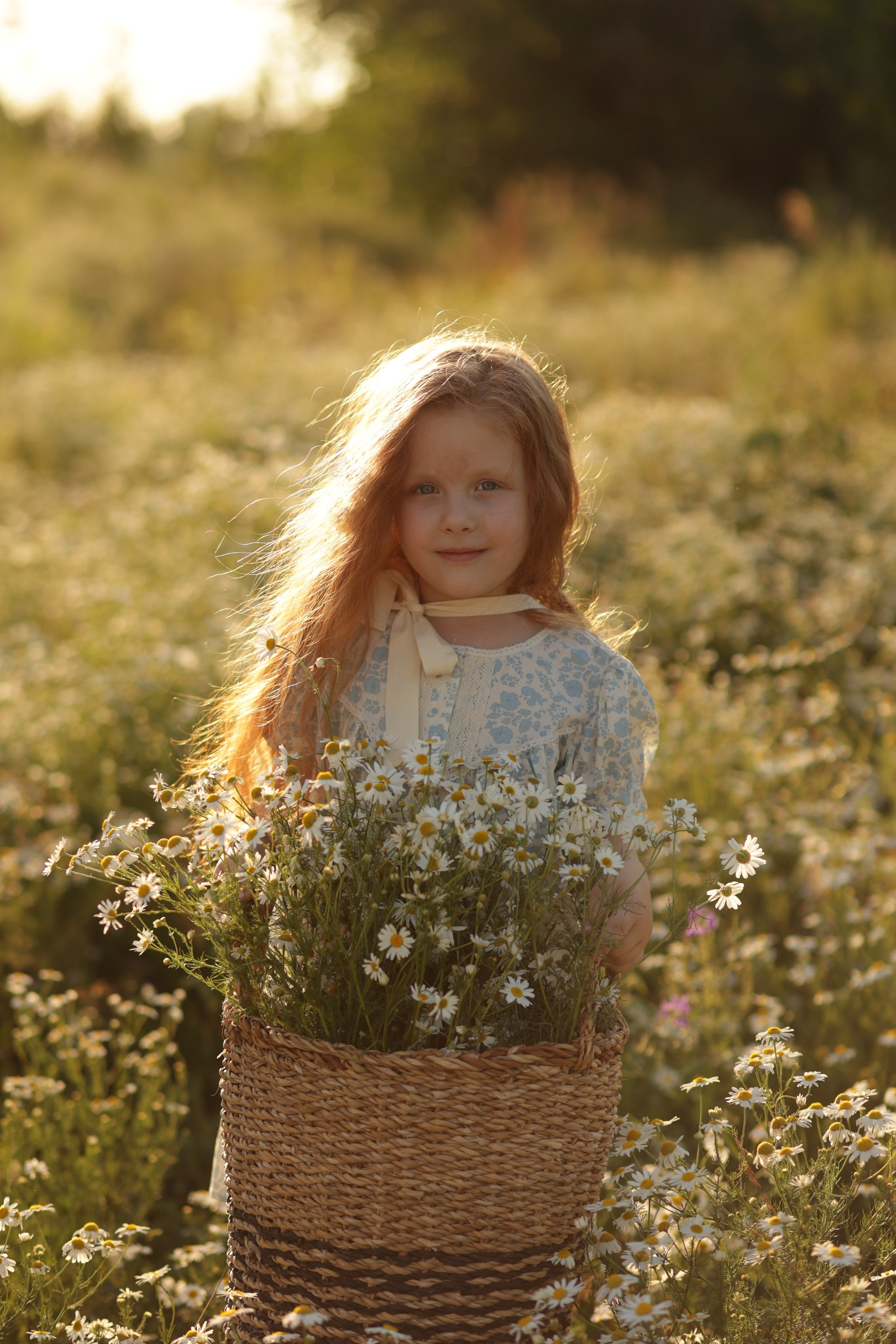 Девчонки в ромашках. Семейный фотограф в Саратове Юлия Охотникова