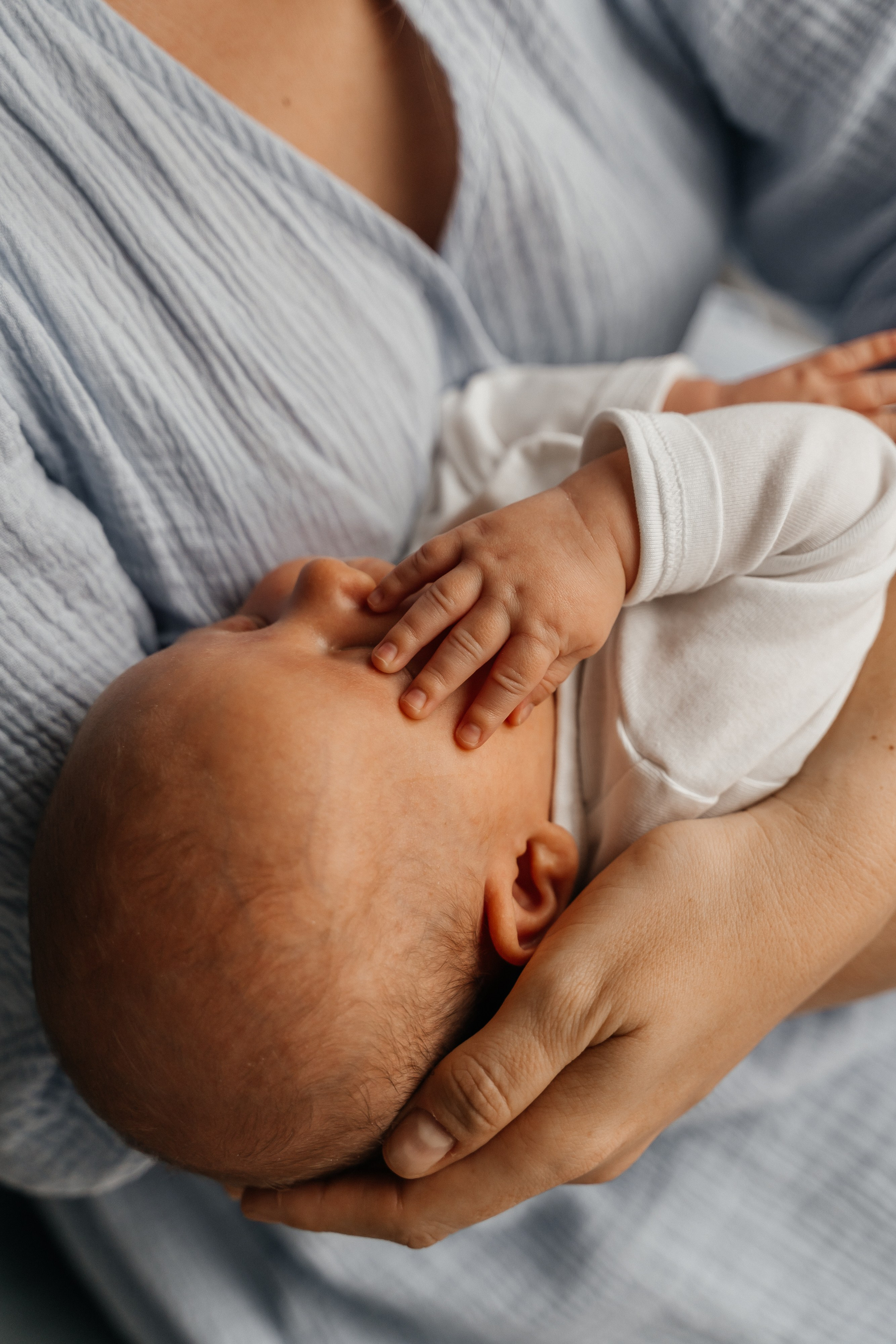 Ваня, Лара, Миша и Стёпа. Волик Мария