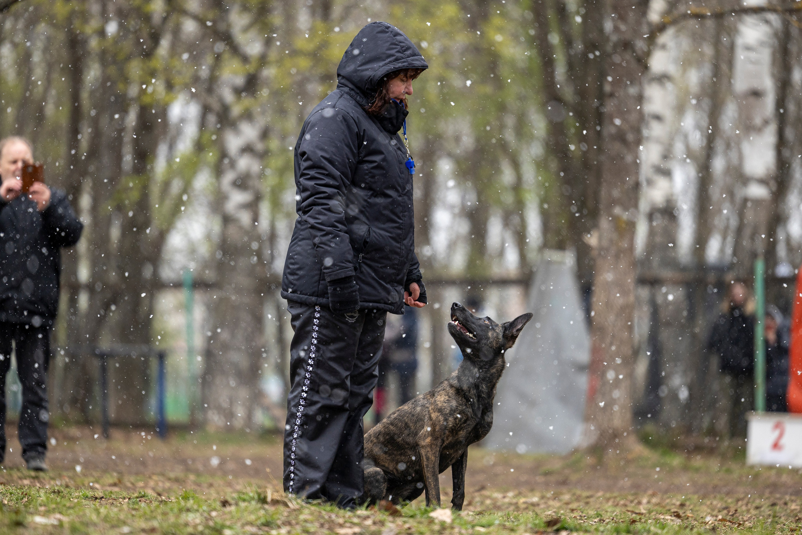 Квалификационные состязания по мондьорингу г. Вологда 11.05.24. Фотограф-анималист Анна Маринич