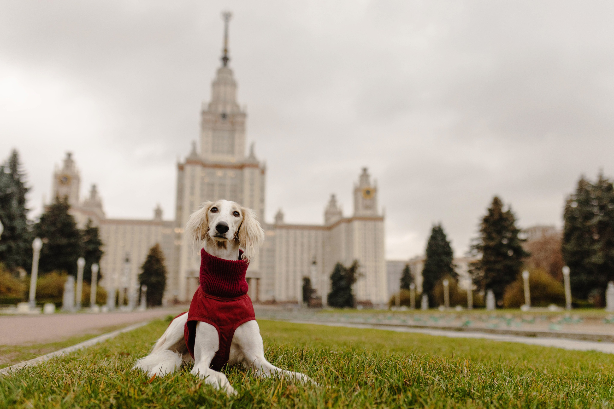 Москва / Марина и Лира, Полина и Деймон. Фотограф Кузина Вера