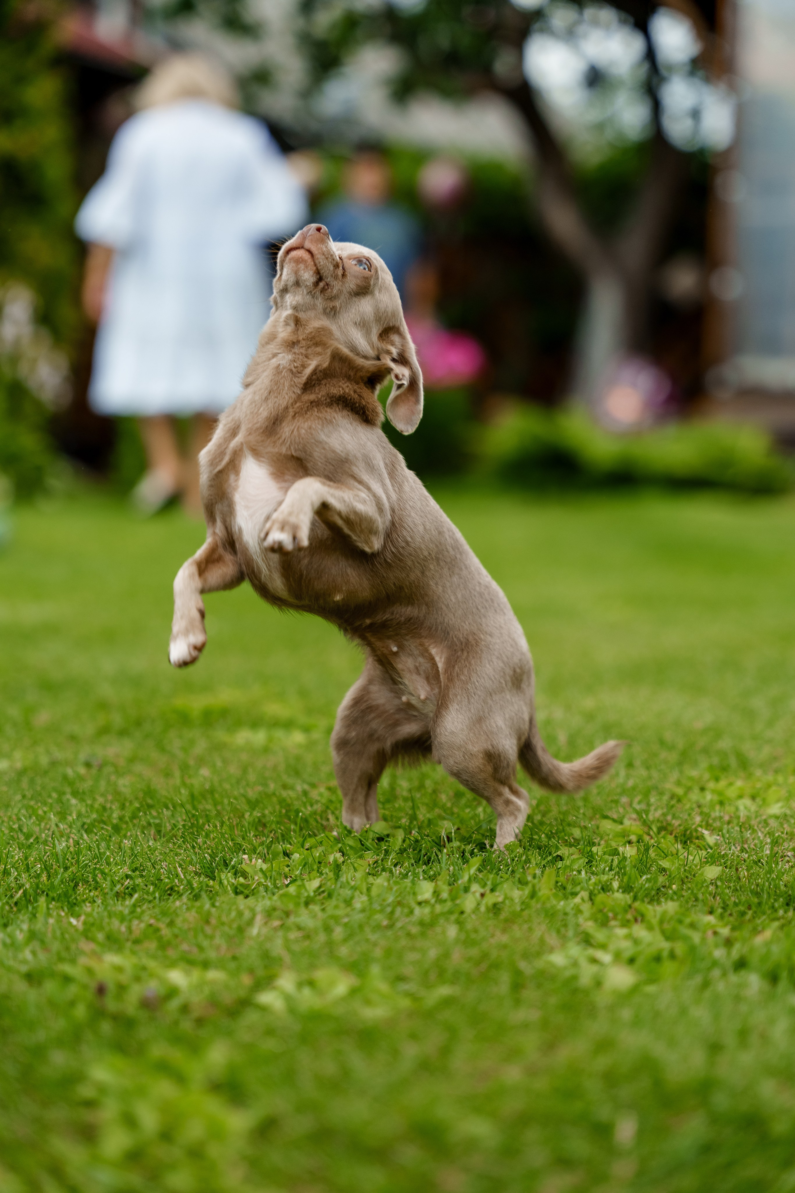 Ева 1 год. Станислав Тюрин Фотограф Москва. Индивидуальные и семейные фотосессии;