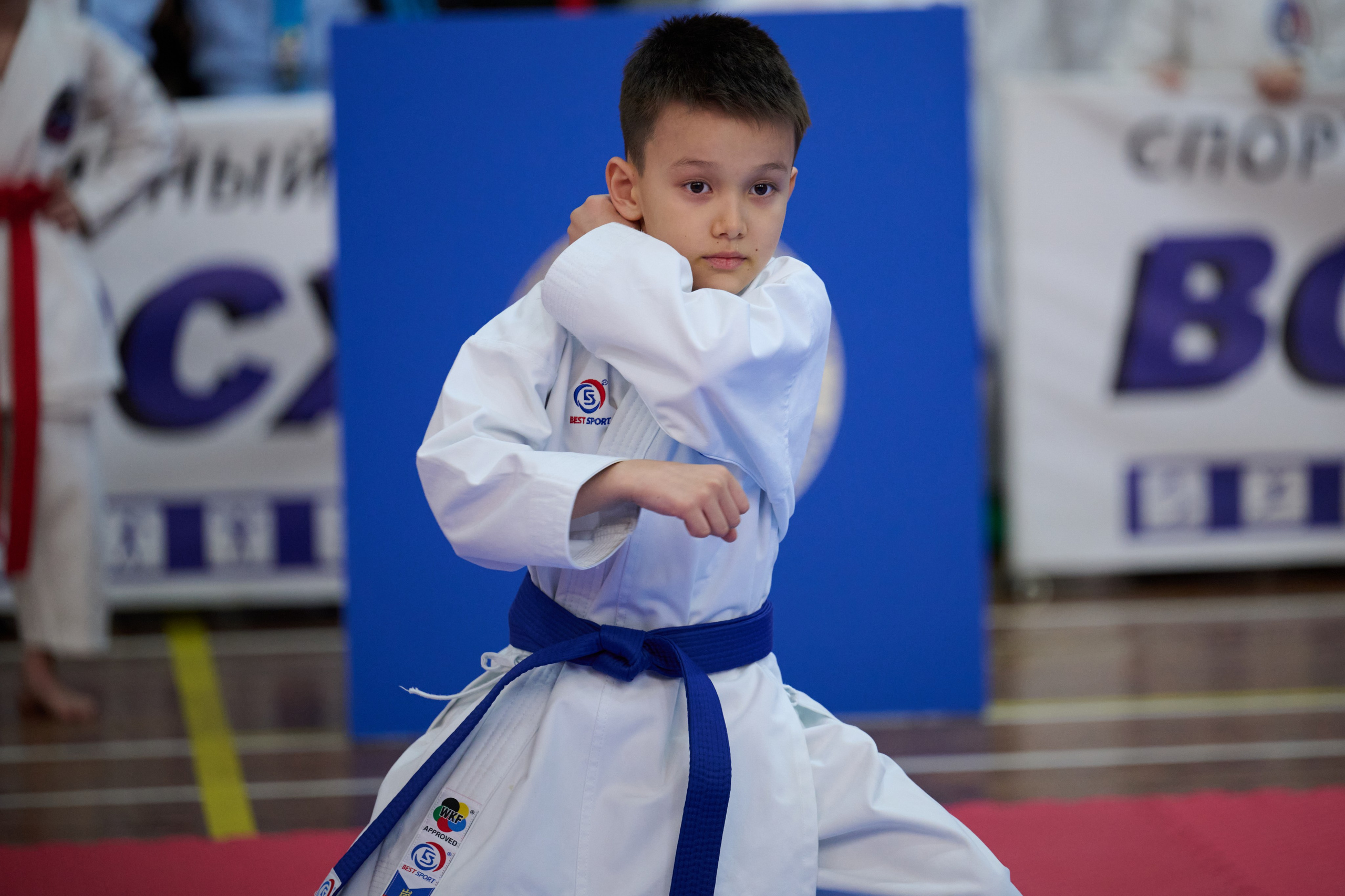 Чемпионат первенства Приморья по карате 28.03.26. Профессиональный репортажный фотограф Инесса Иминова