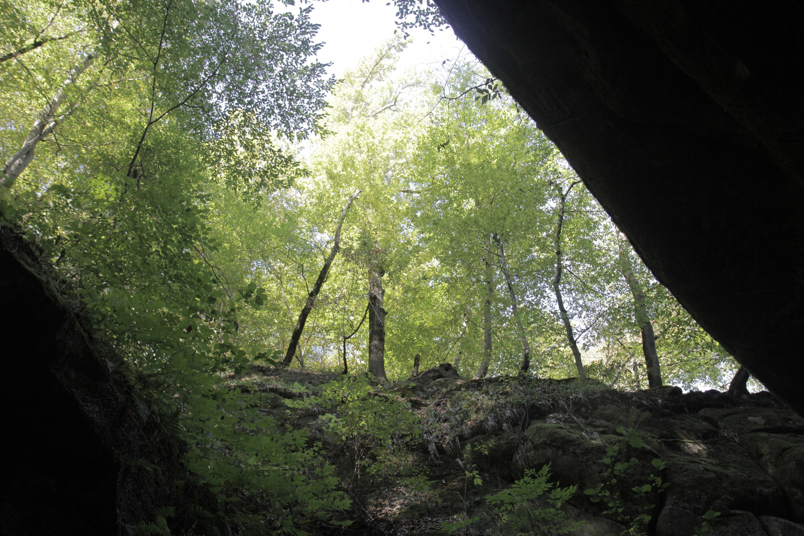 Горячий Ключ (2024-09-22). Собор Отрасли