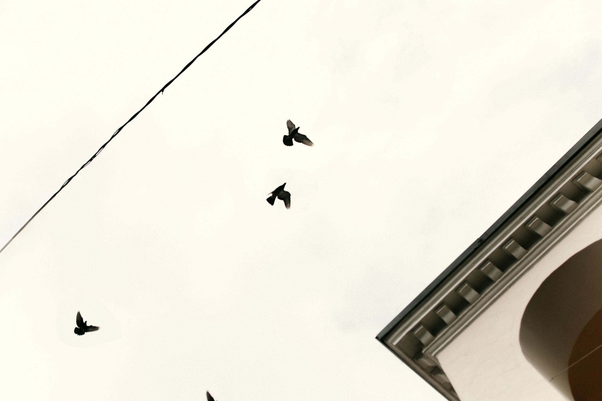 Ксения. Фотограф Москва, Санкт-Петербург, Абакан