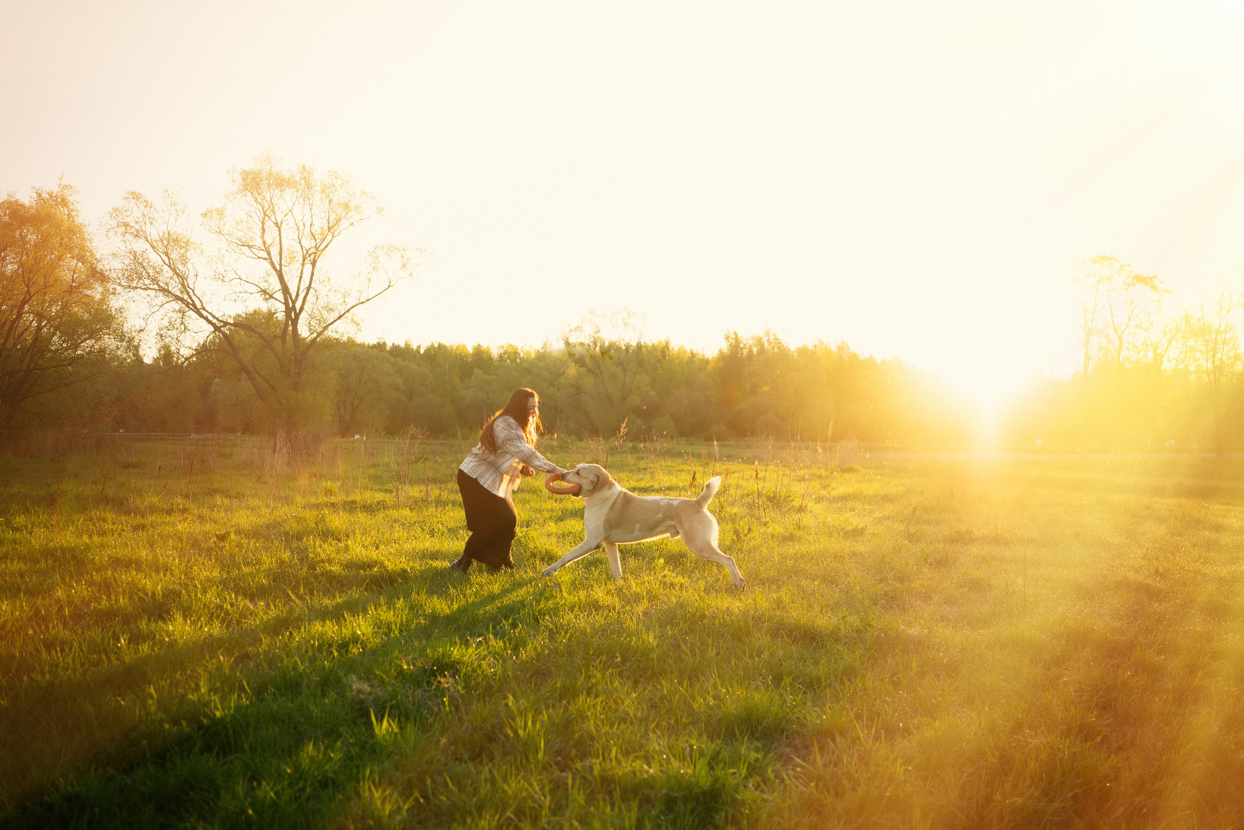 Настя и Рахат. Фотограф анималист в Москве и Санкт-Петербурге Свиридова Анна