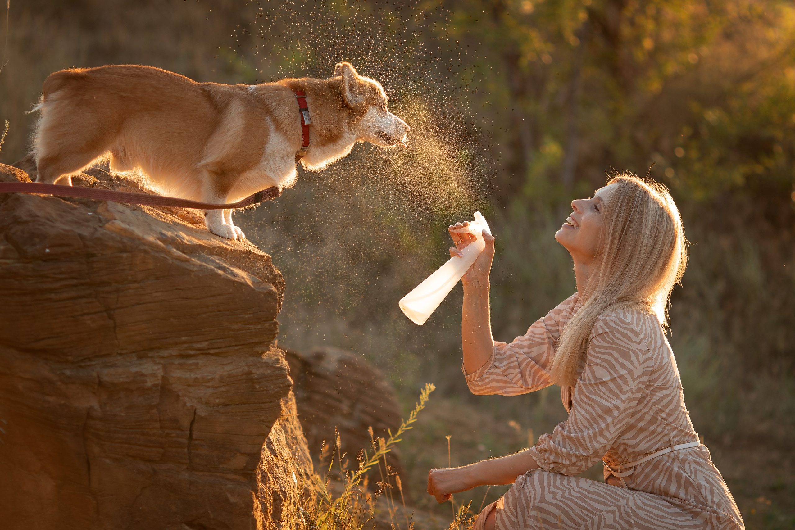 Коржик Чарли. Семейный и детский фотограф в Саратове Полина Коткина