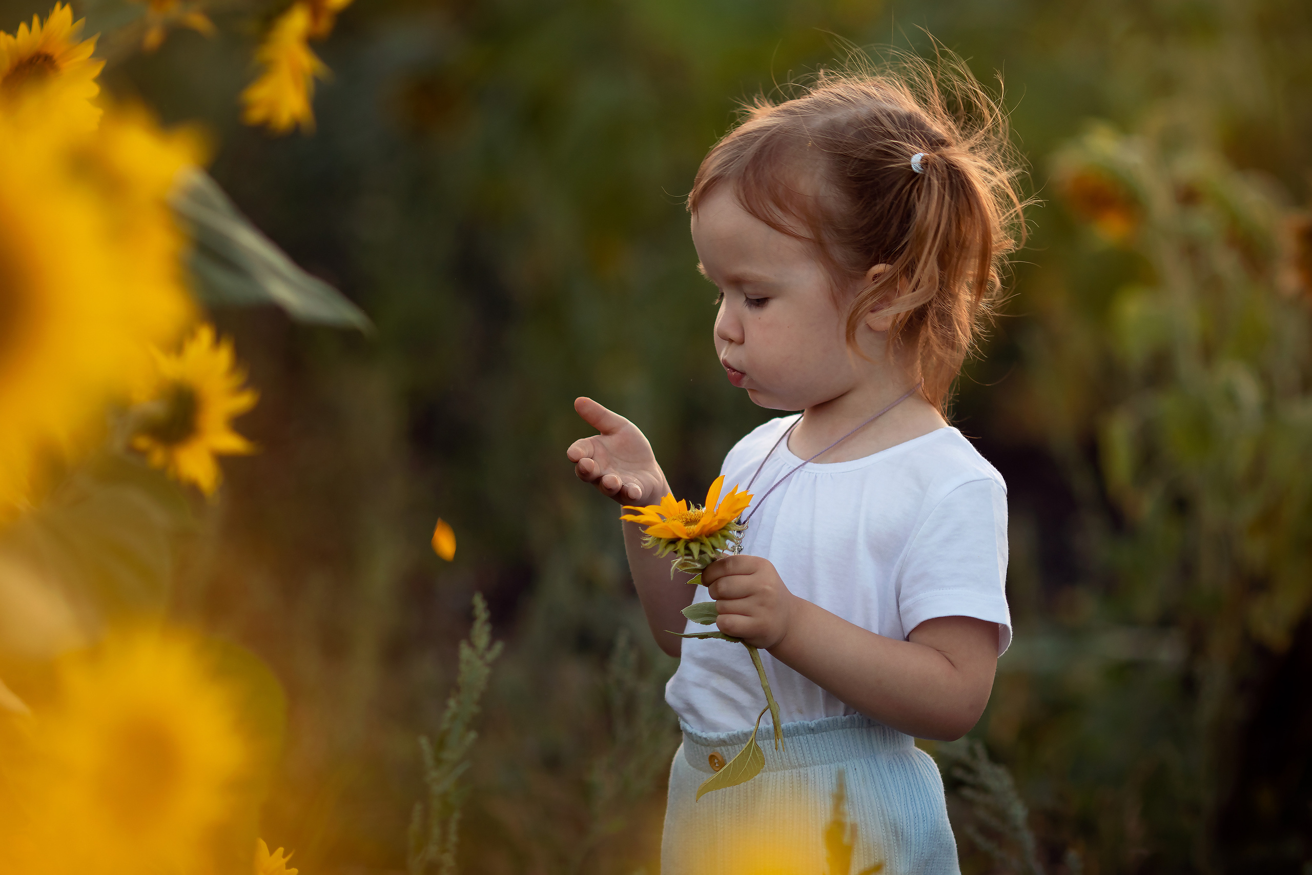 Подсолнечная история. Семейный и детский фотограф в Саратове Полина Коткина