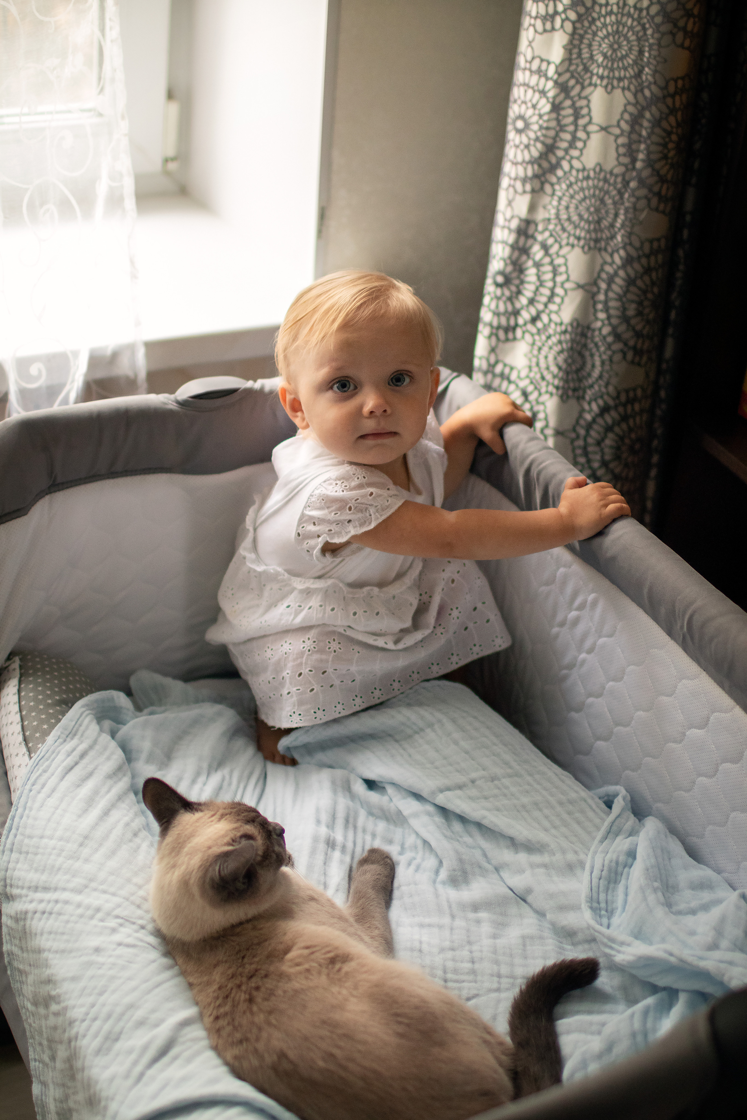 Лев родился. Семейный и детский фотограф в Саратове Полина Коткина