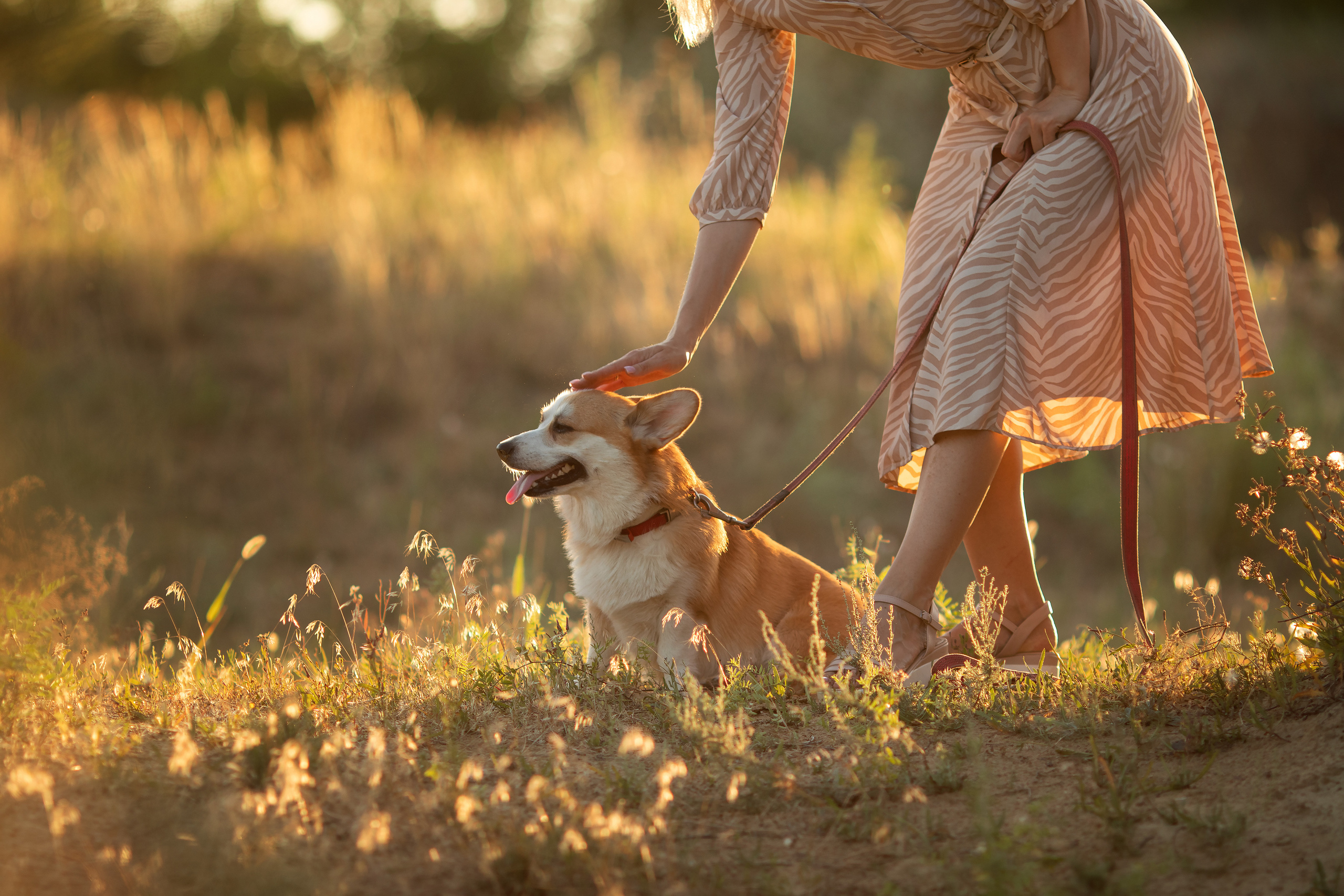Коржик Чарли. Семейный и детский фотограф в Саратове Полина Коткина