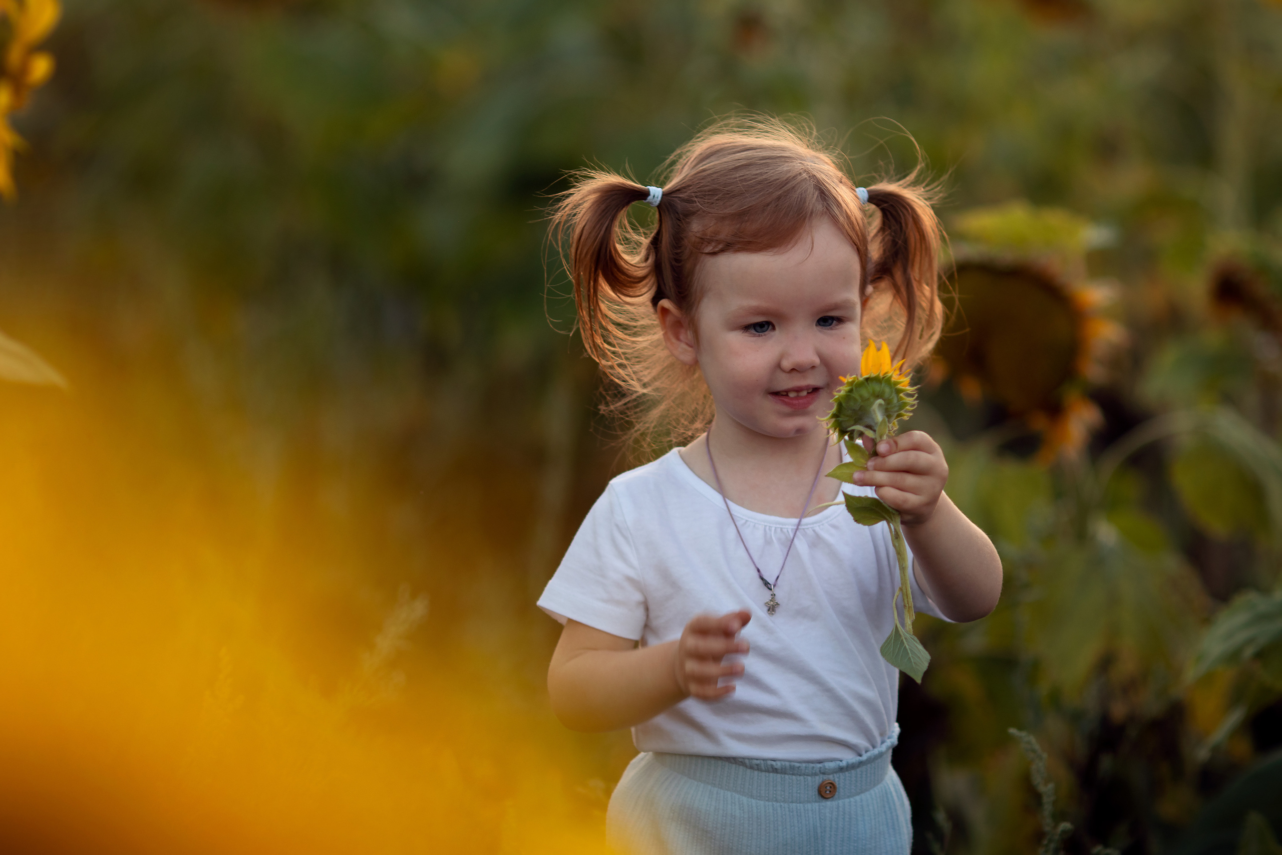 Подсолнечная история. Семейный и детский фотограф в Саратове Полина Коткина