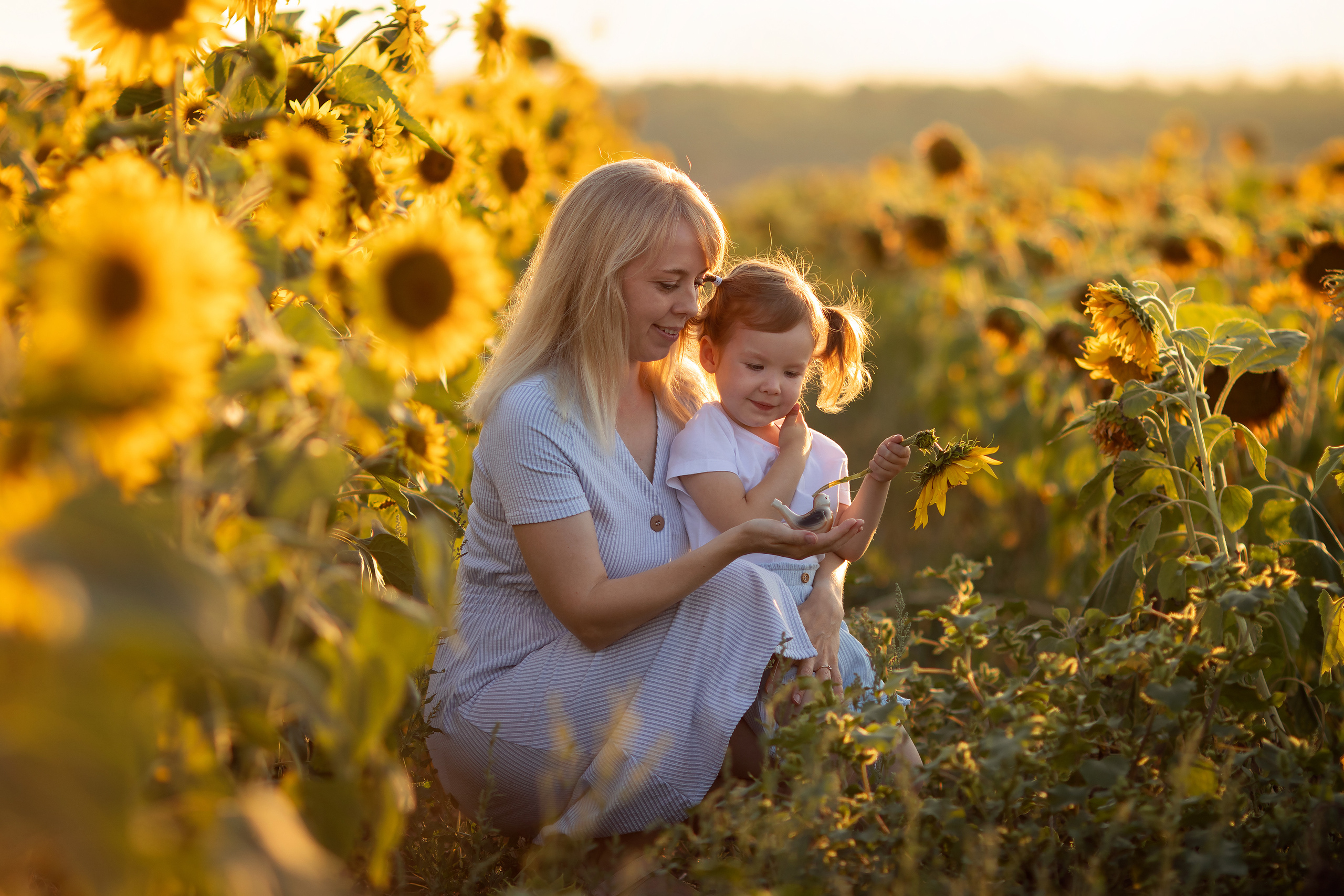 Подсолнечная история. Семейный и детский фотограф в Саратове Полина Коткина