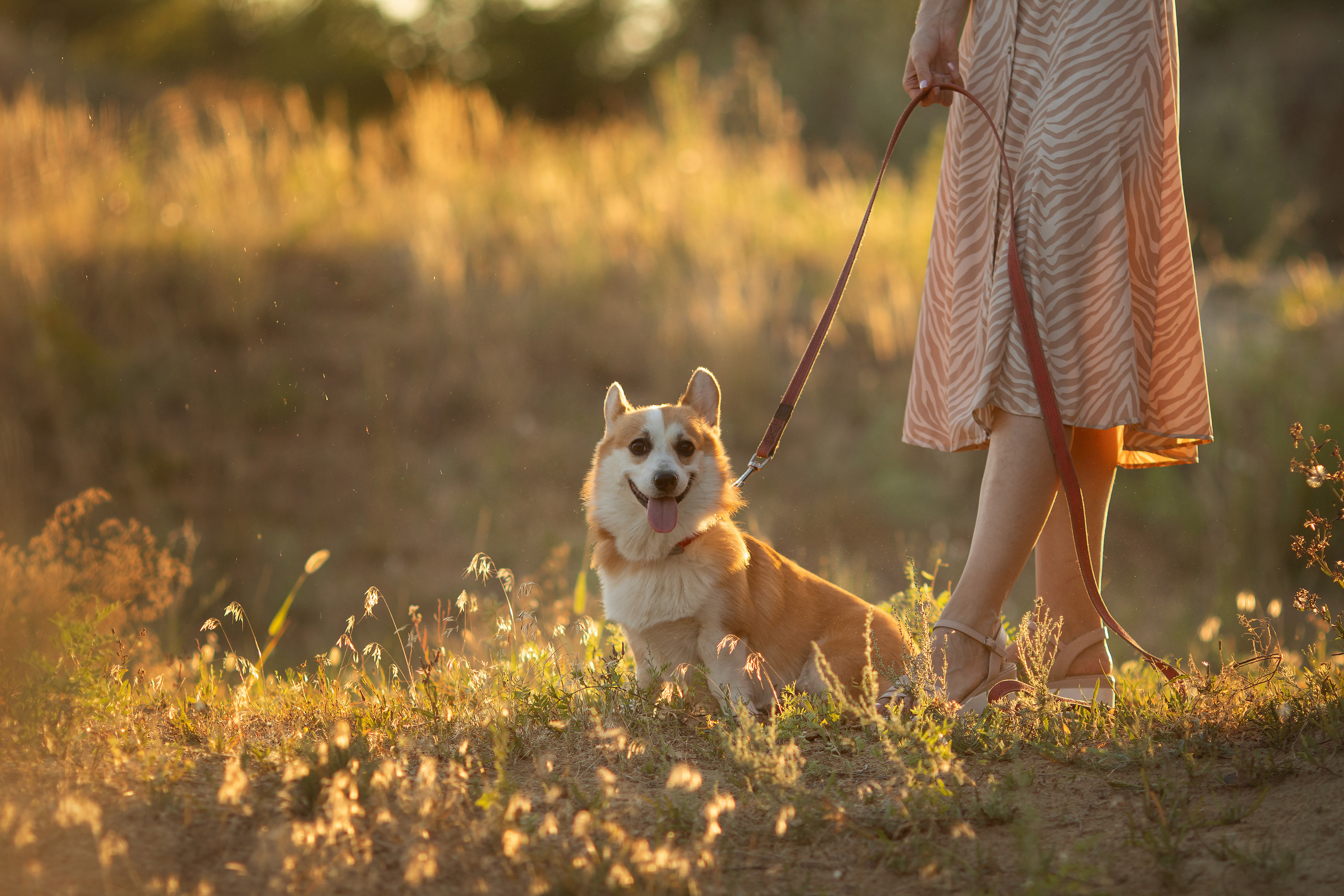Коржик Чарли. Семейный и детский фотограф в Саратове Полина Коткина