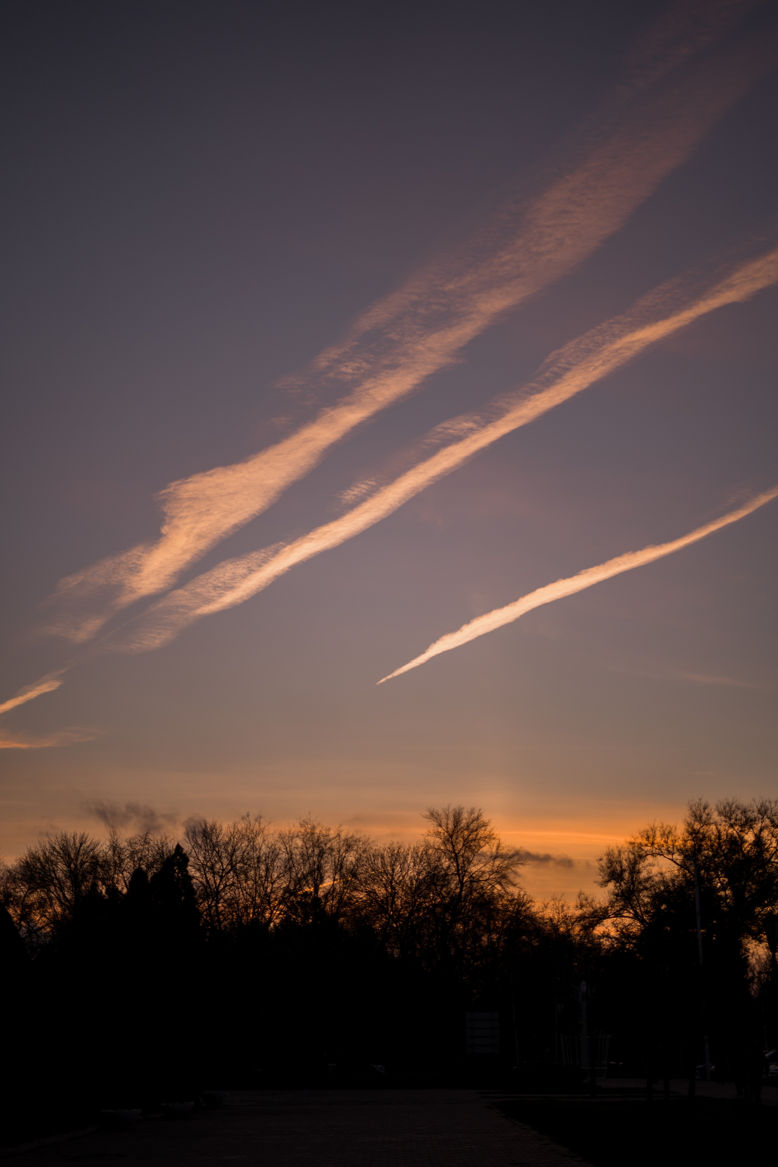 Аня. Семейный фотограф Новочеркасск