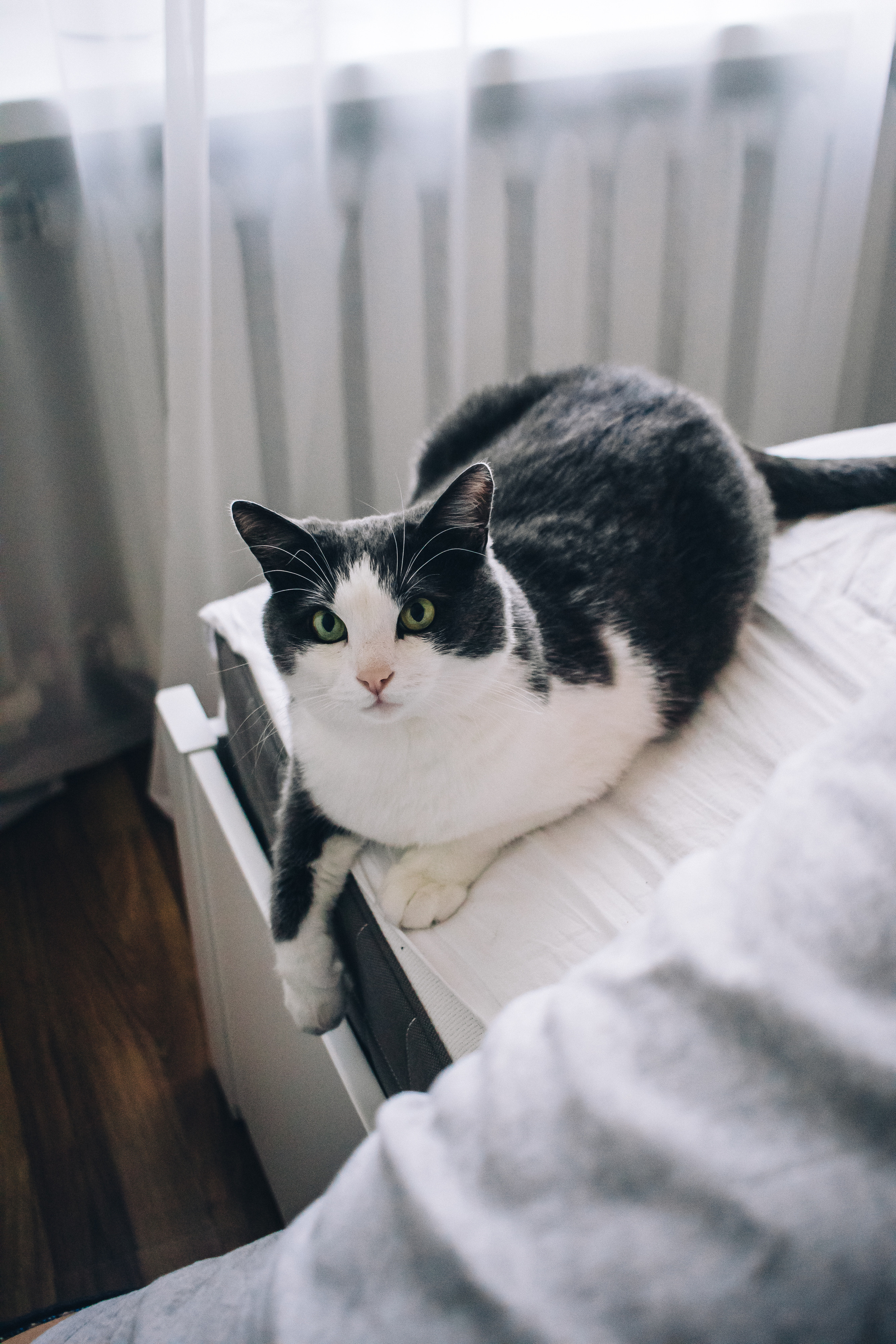 Ярик, Наташа и Вася. Семейный фотограф Новочеркасск