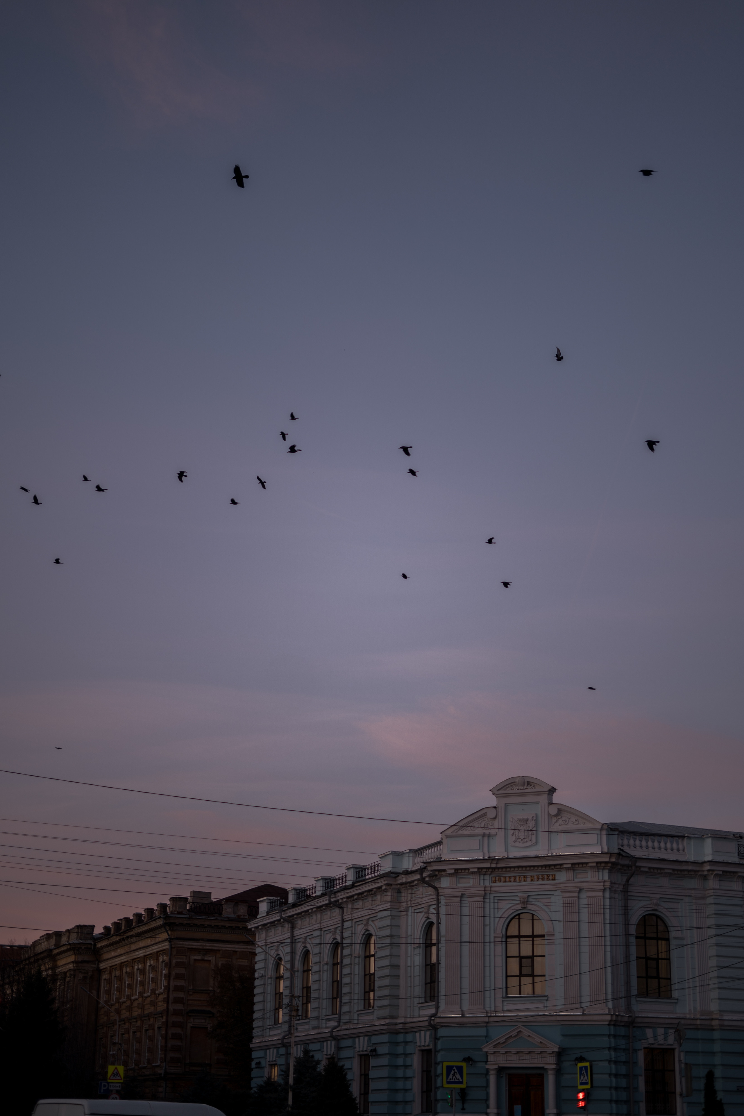 Аня. Семейный фотограф Новочеркасск