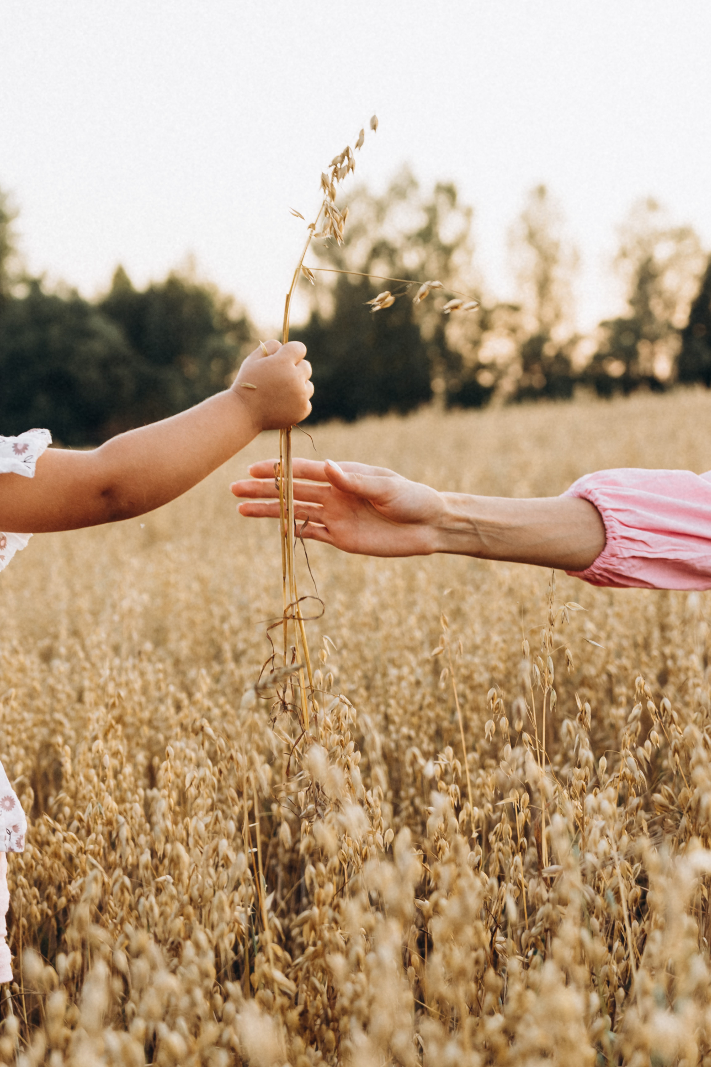 На закате. Фотограф Москва