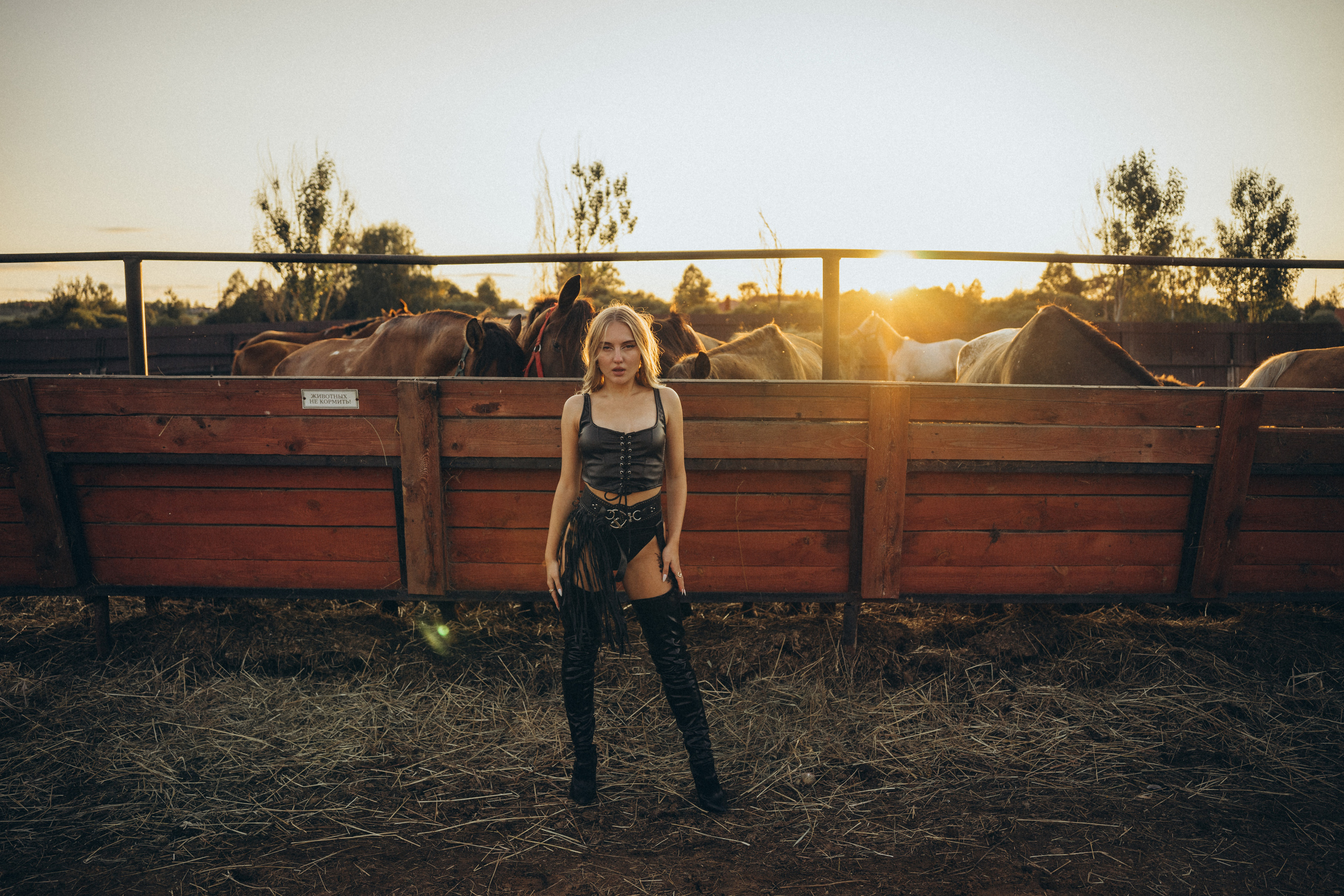 На закате. Фотограф Москва