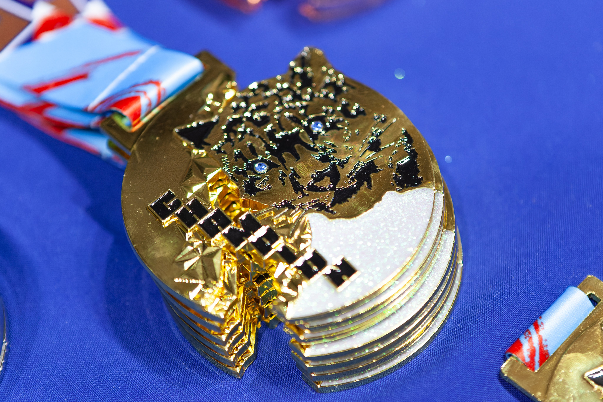 Дальневосточный фестиваль восточных единоборств. Кутузов Евгений Фотограф в Южно-Сахалинске