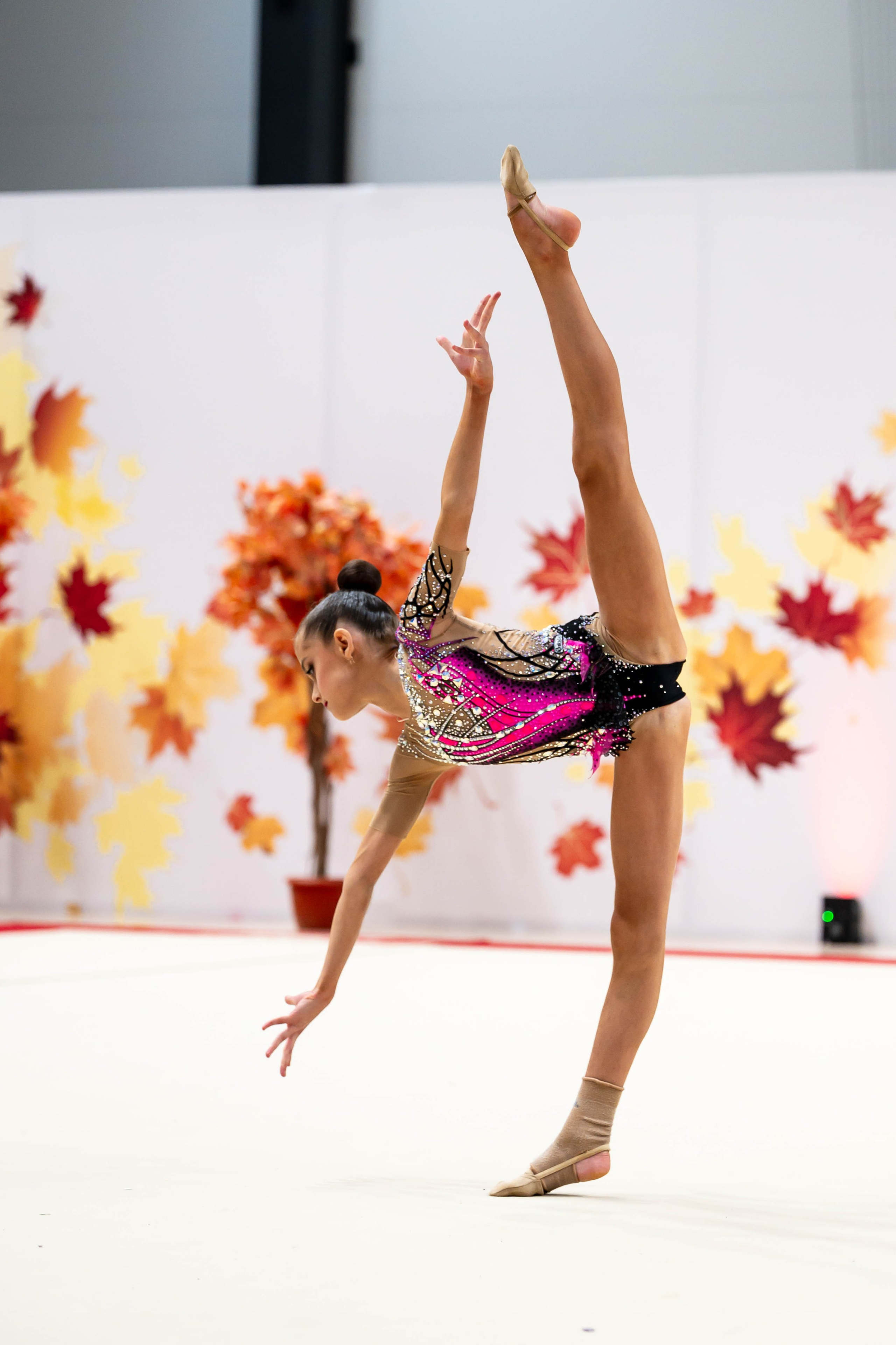 Турнир «Осенний вальс» СК Алина. Сентябрь, 2025. Спортивный фотограф в Туле и Тульской области. Файсханова Фото Спорт