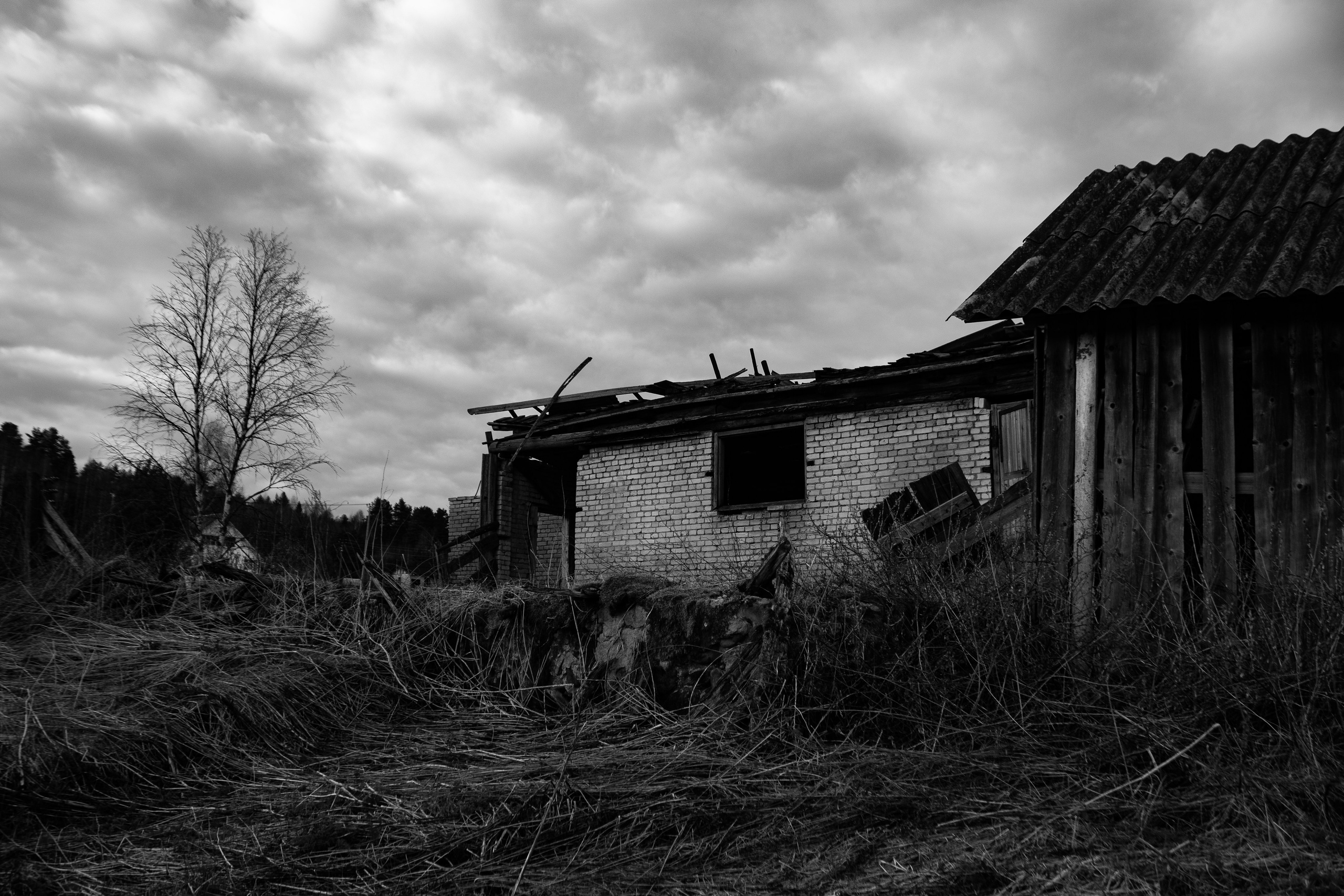 Вепсский ковчег. Полина Щапова БМК235 Медиаком — НИУ ВШЭ